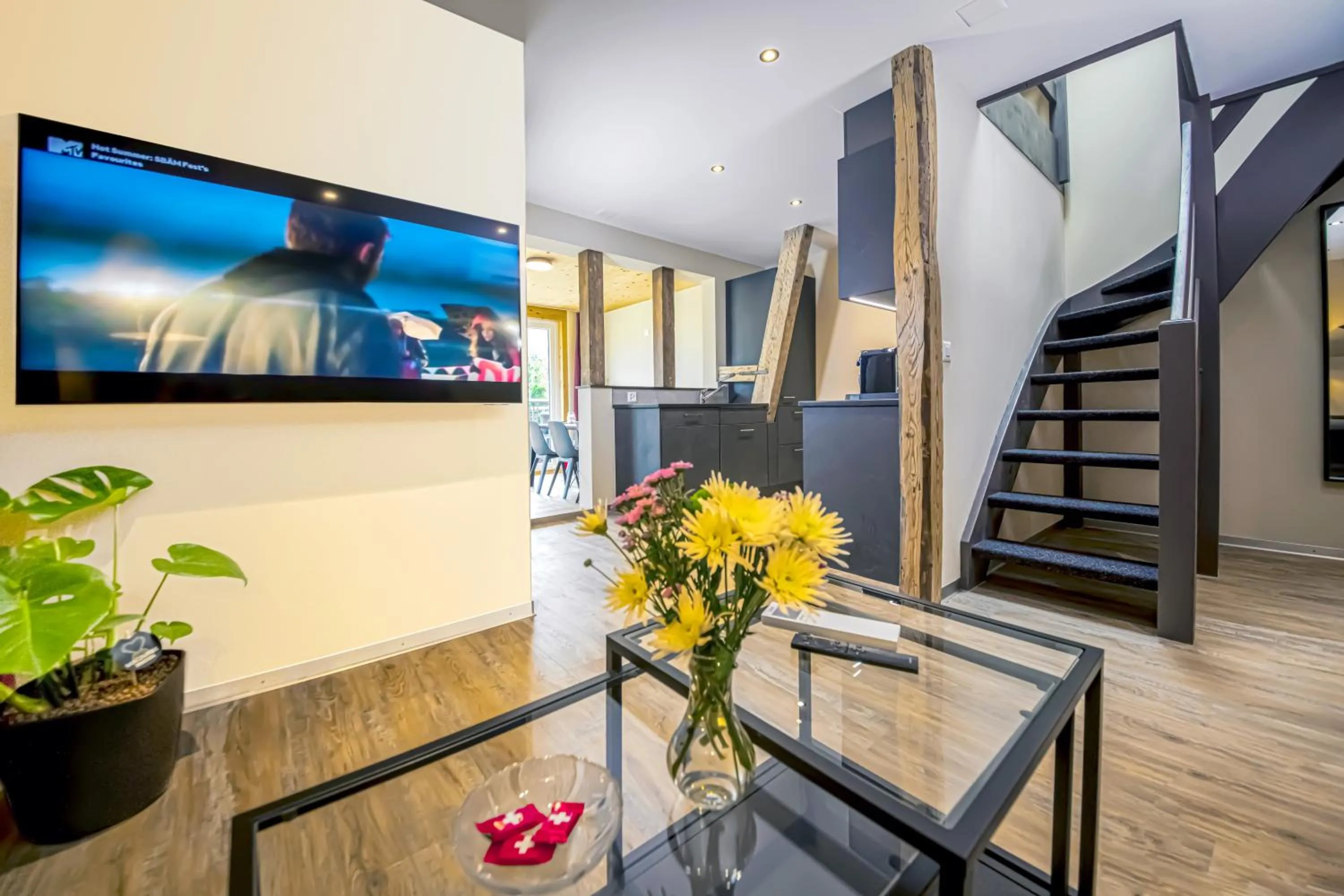 TV and multimedia in Swiss Inn & Apartments