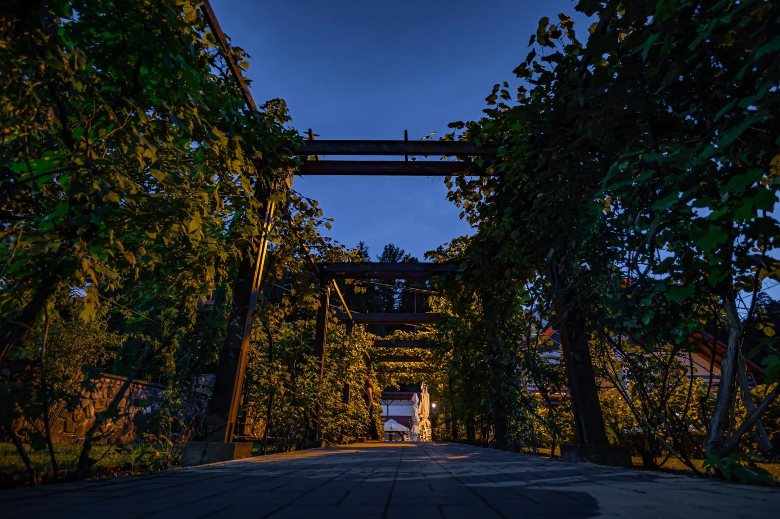 Property building in Q Resort and Spa