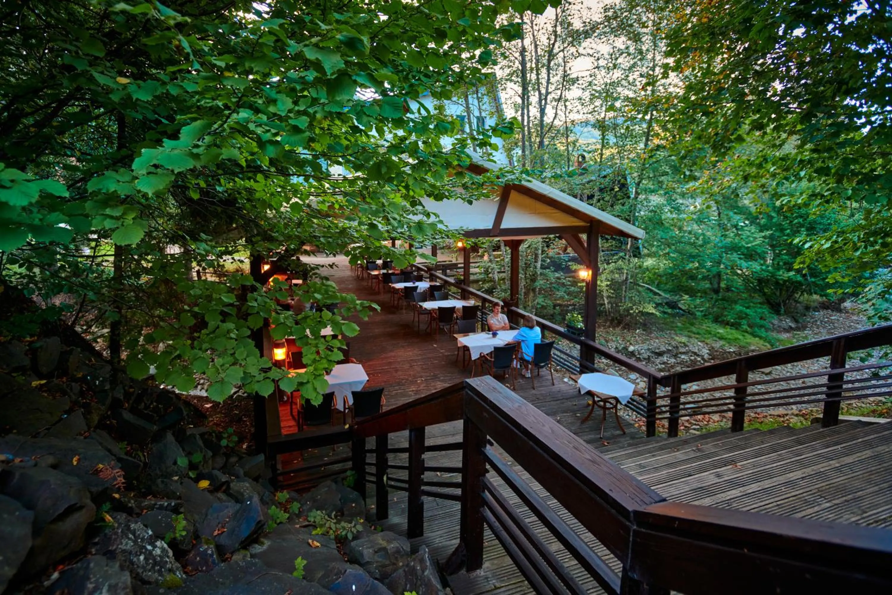 Balcony/Terrace in Hotel & Restaurant Sofia