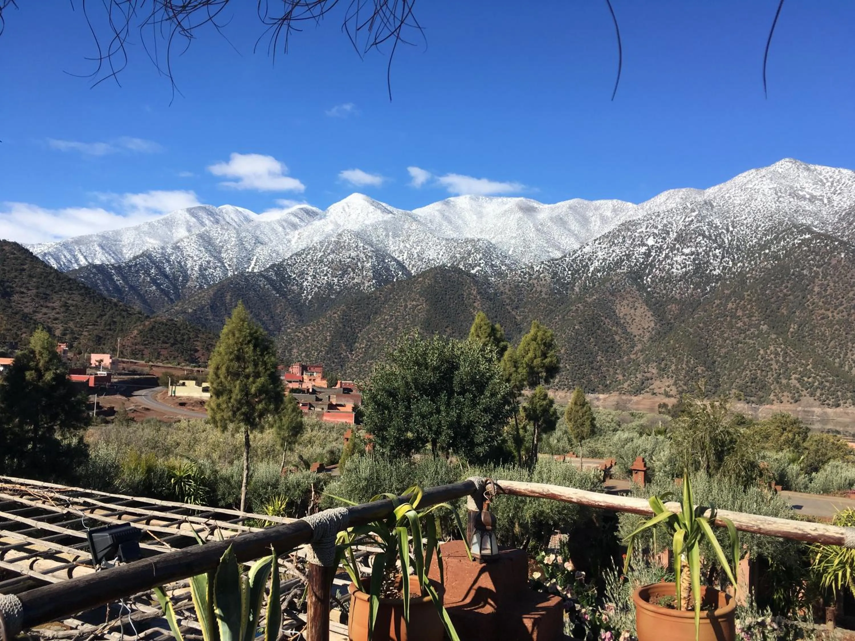 Auberge Chez Momo II