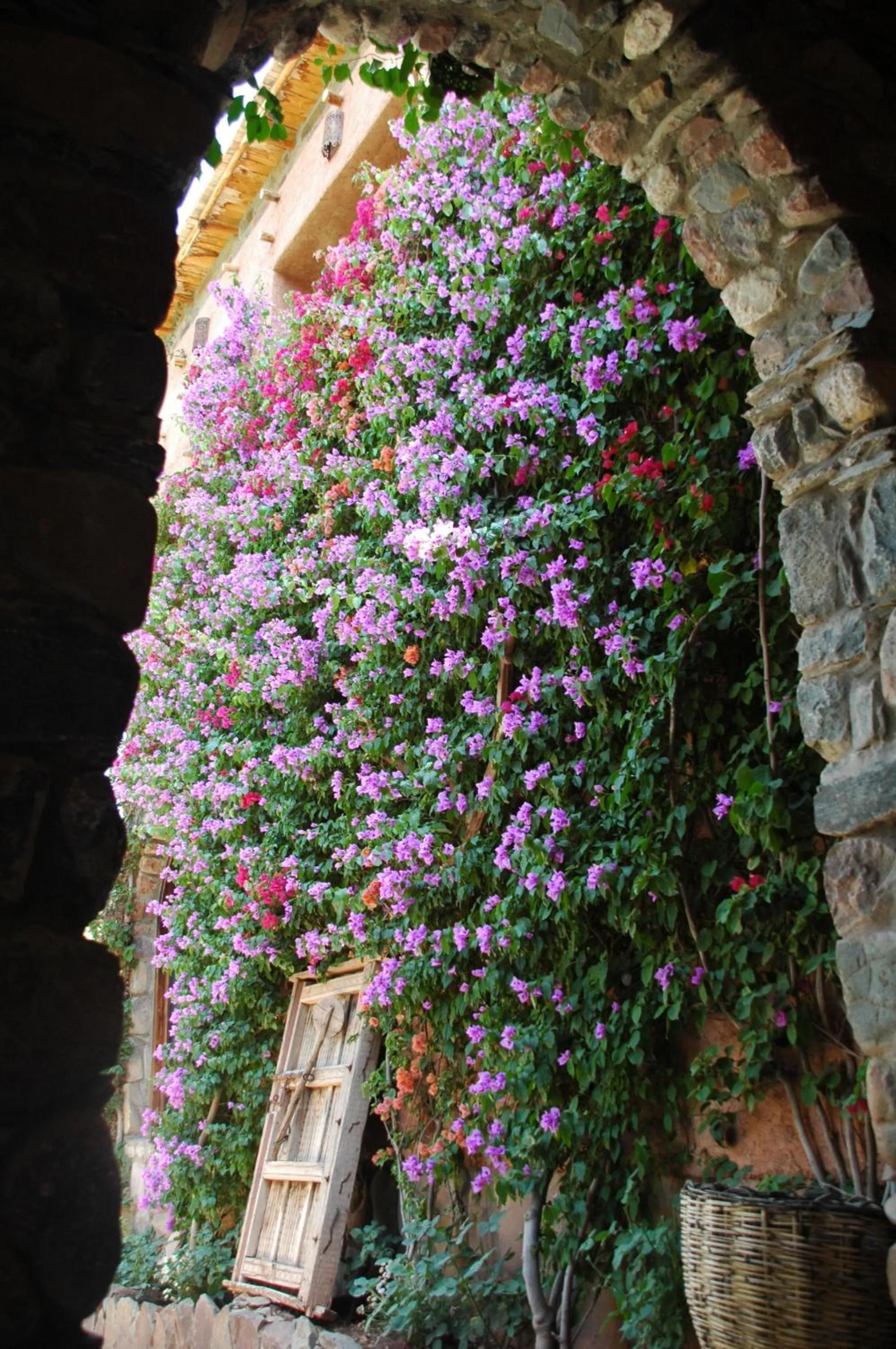 Auberge Chez Momo II