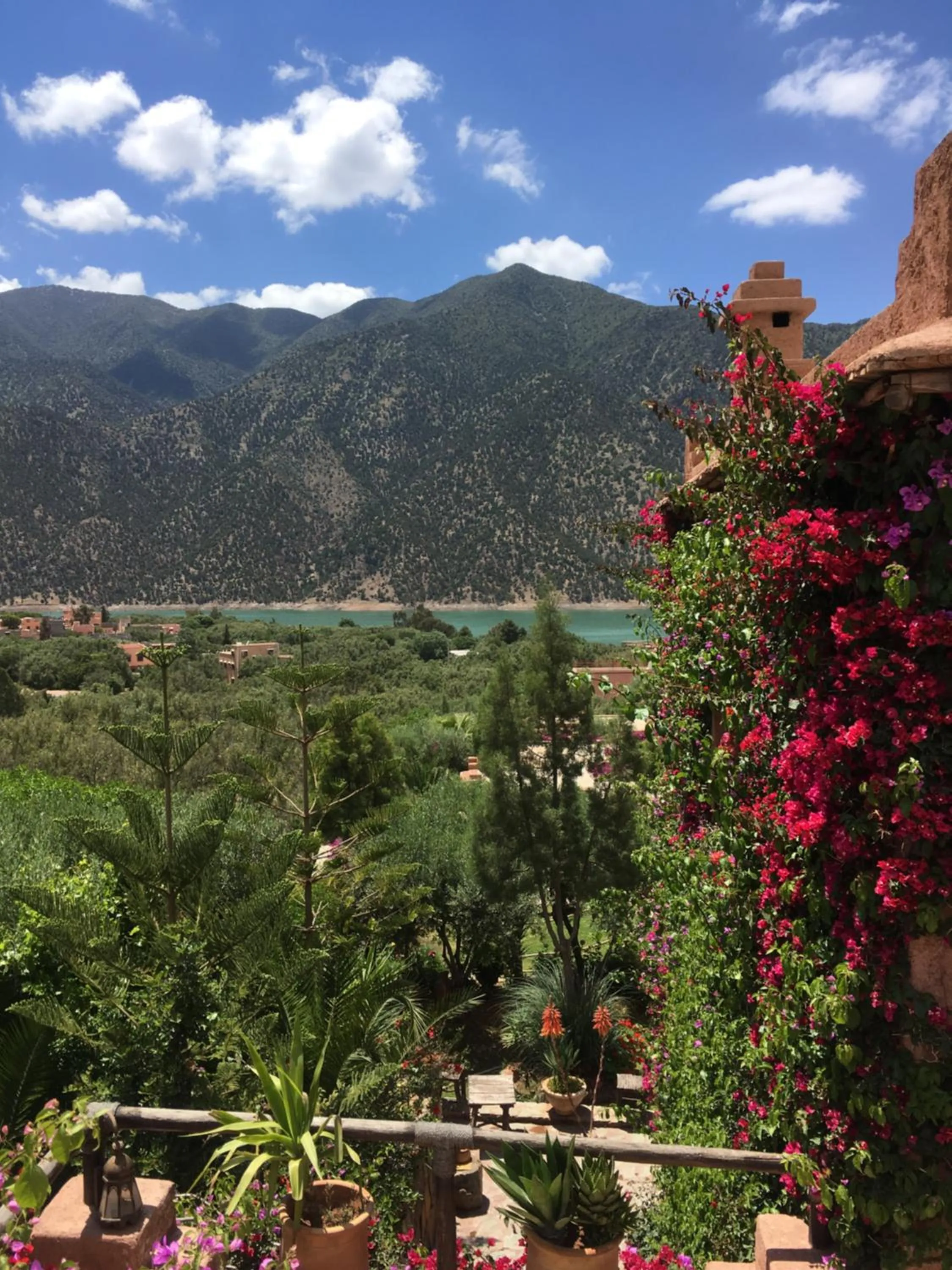 Auberge Chez Momo II