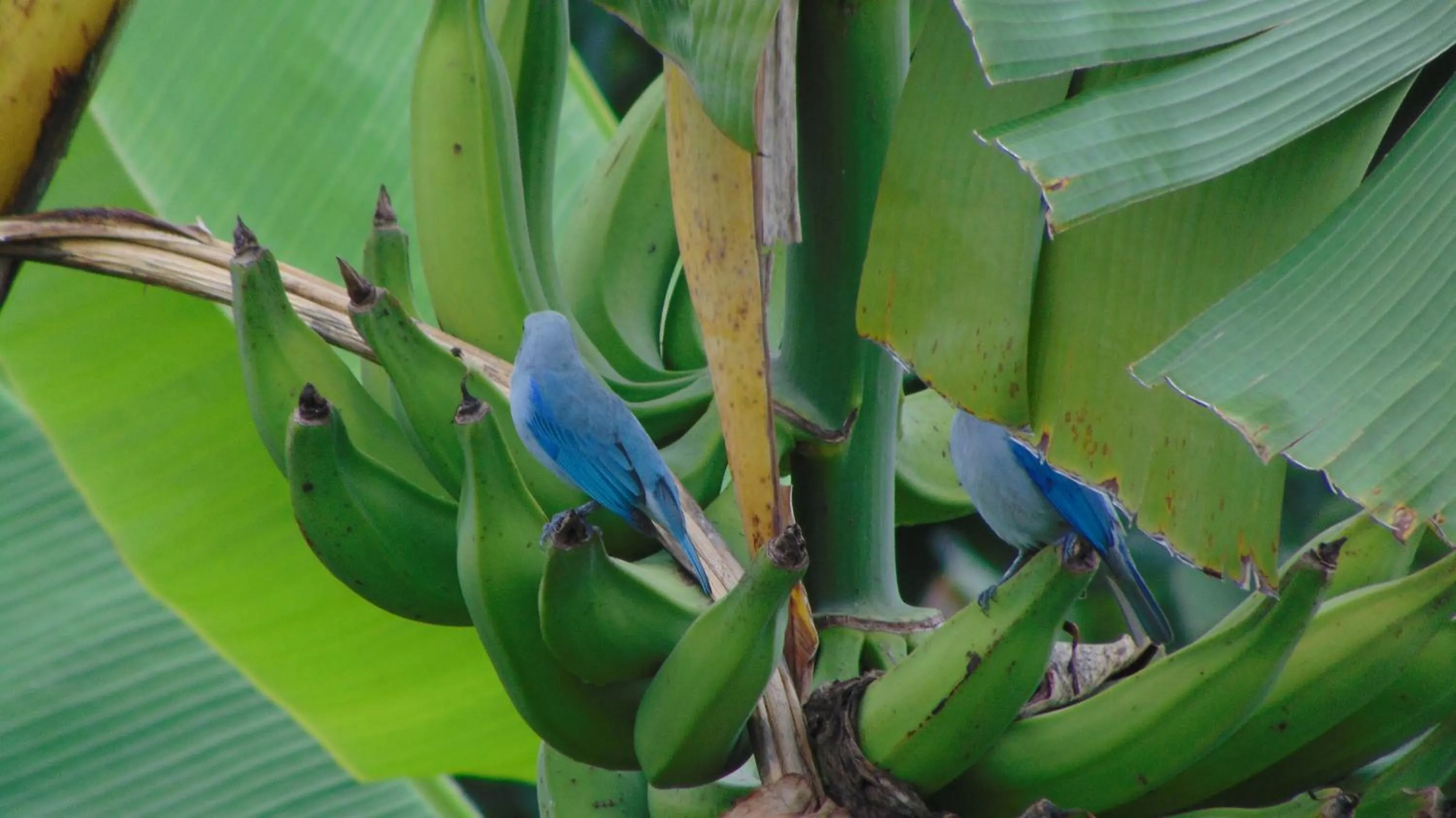 Finca Hotel La Quinta Porra