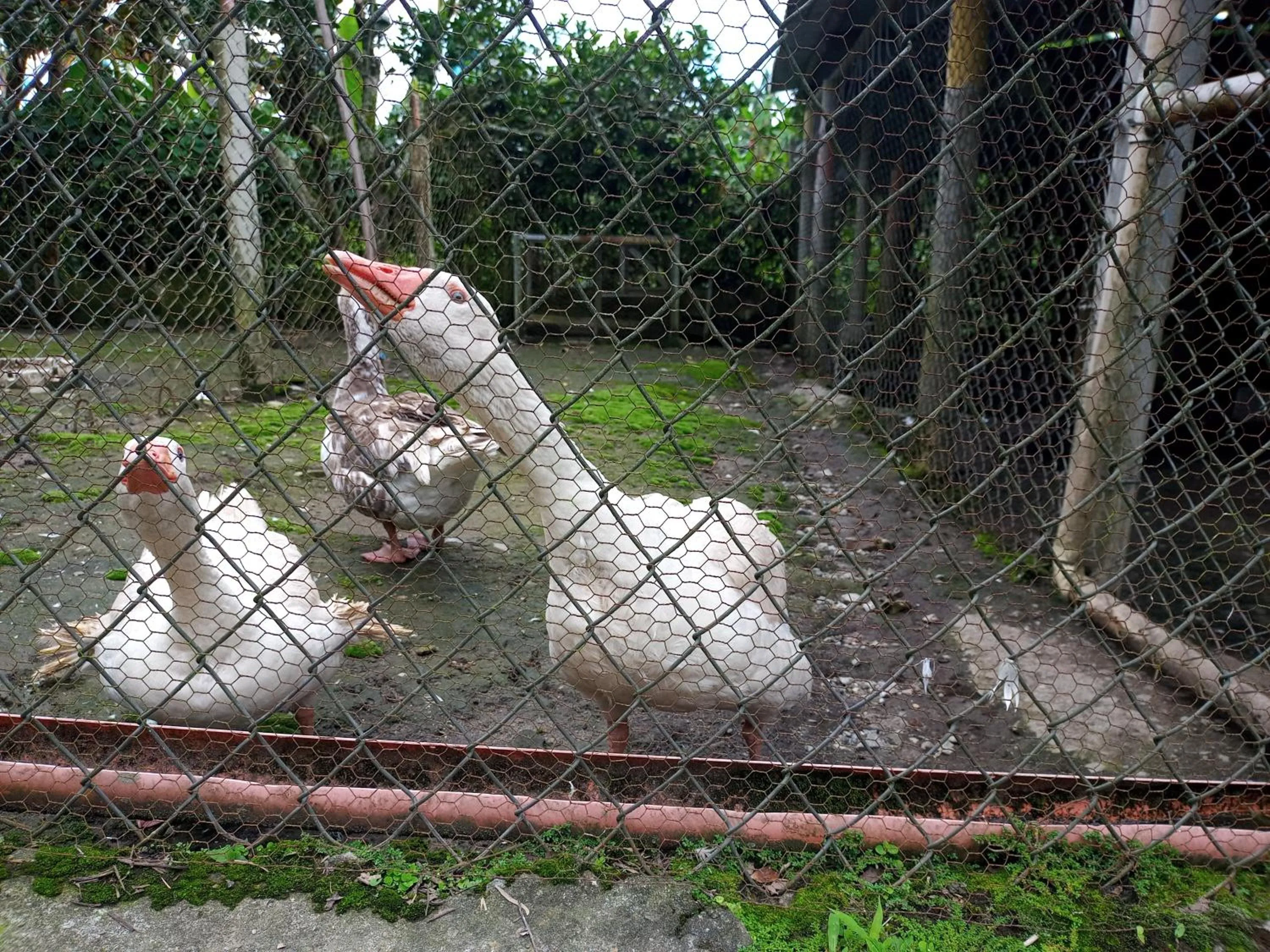 Finca Hotel La Quinta Porra