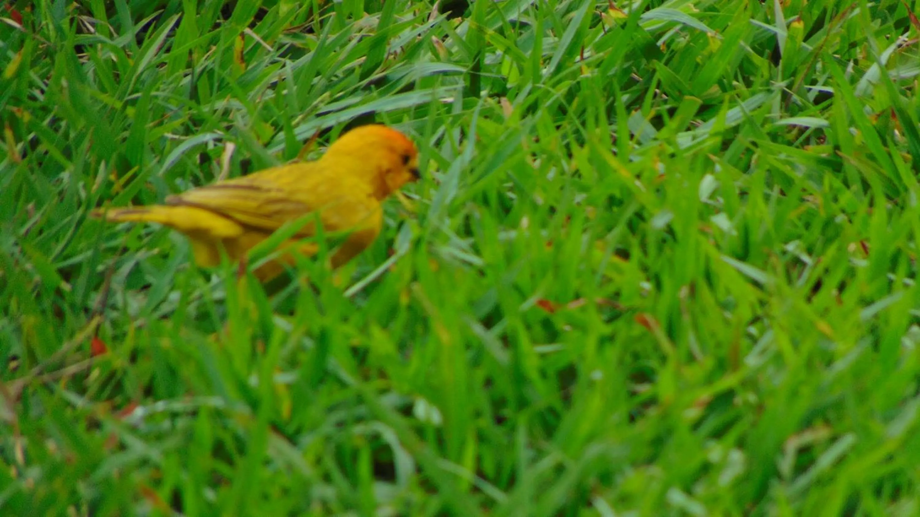 Finca Hotel La Quinta Porra