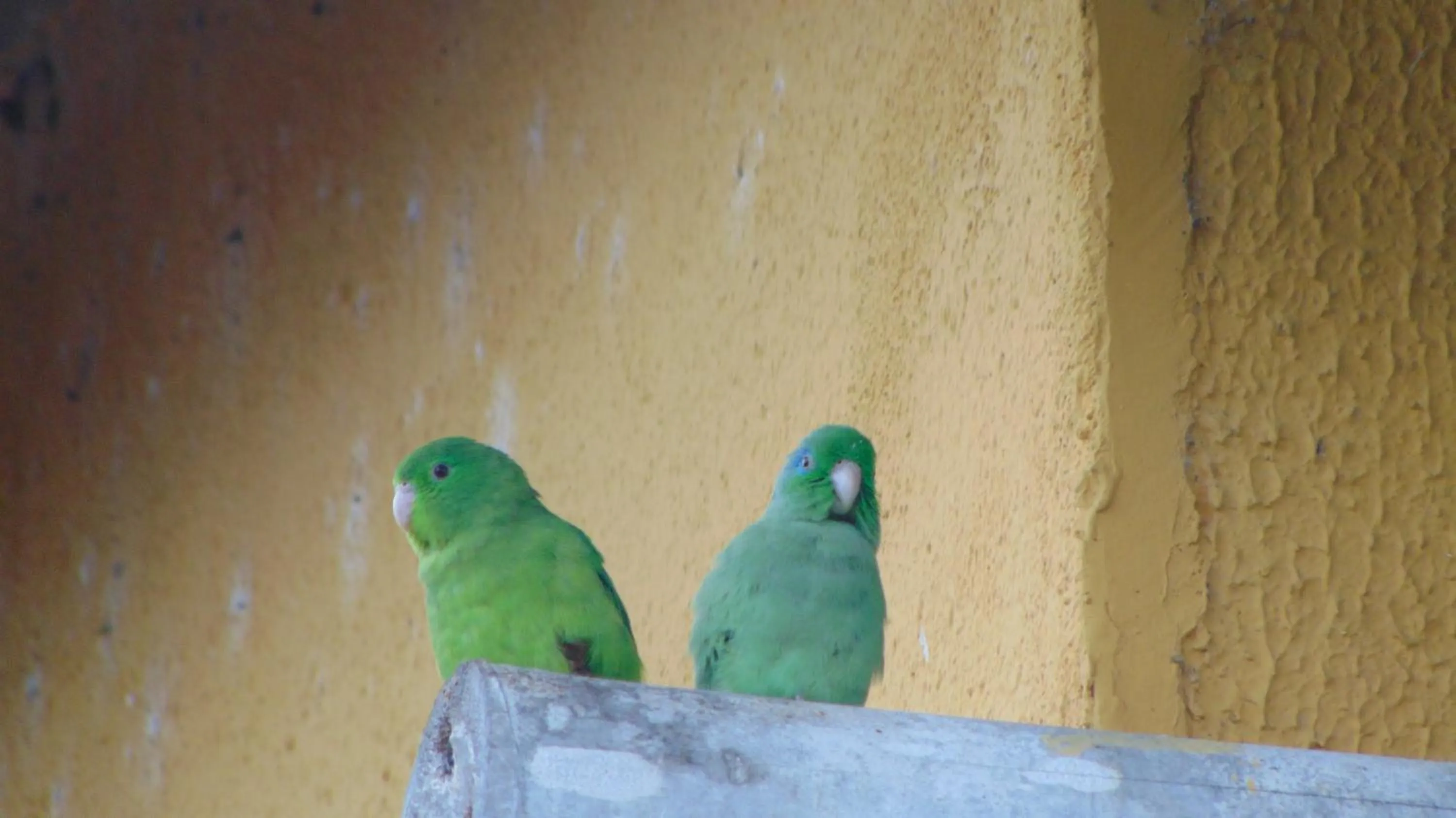 Finca Hotel La Quinta Porra