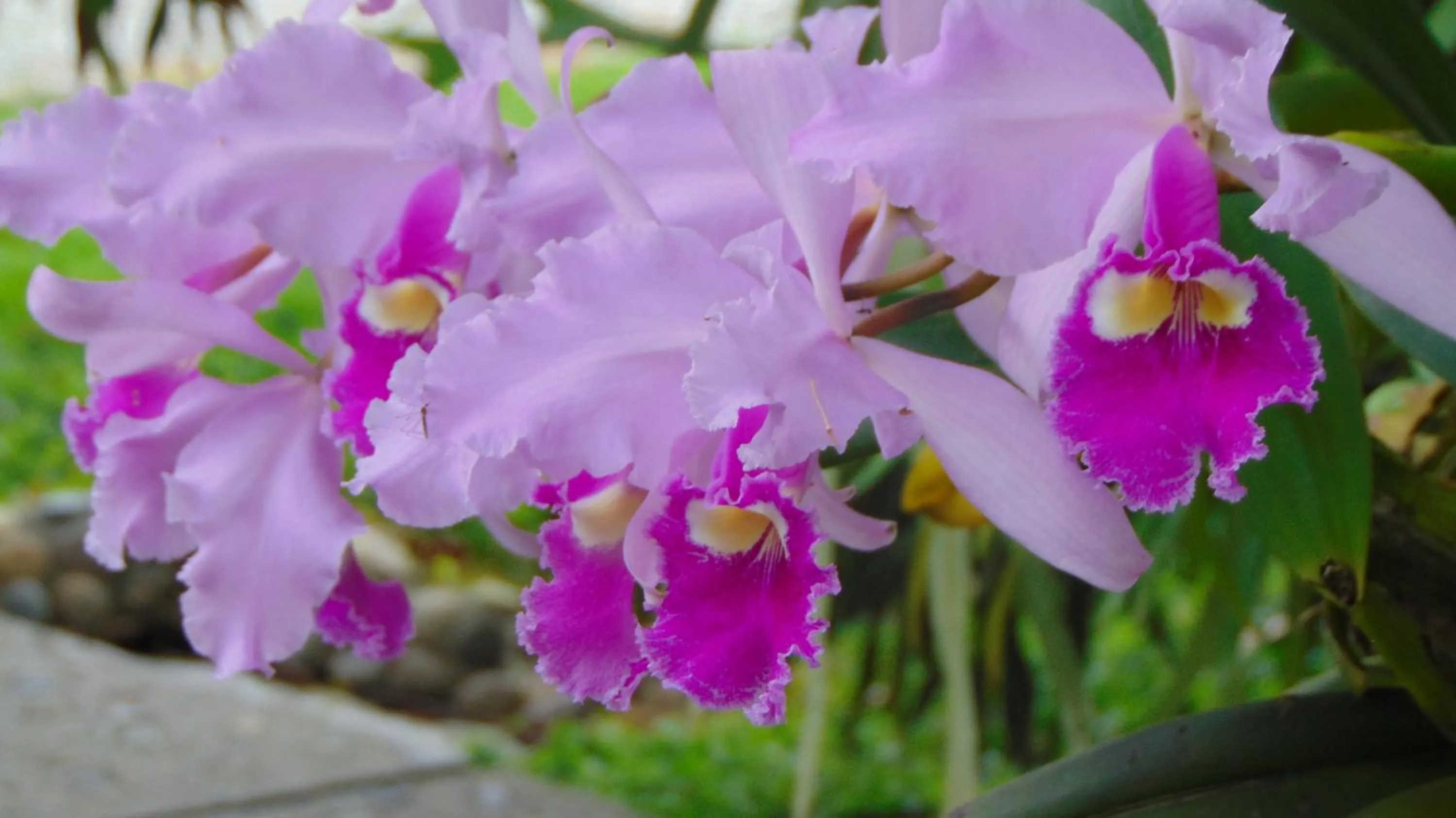 Finca Hotel La Quinta Porra