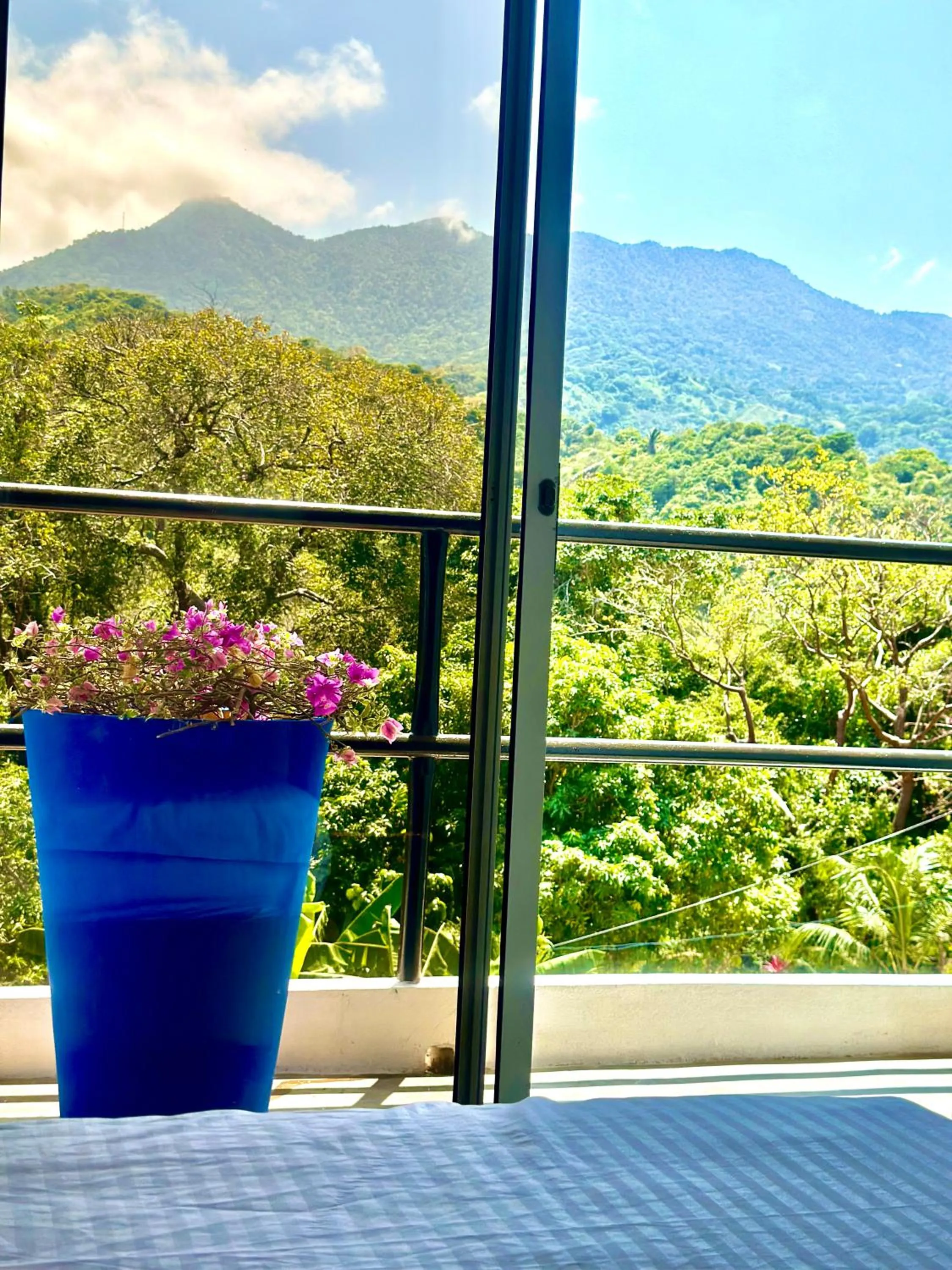 Balcony/Terrace in Tayrona Angel Lodge