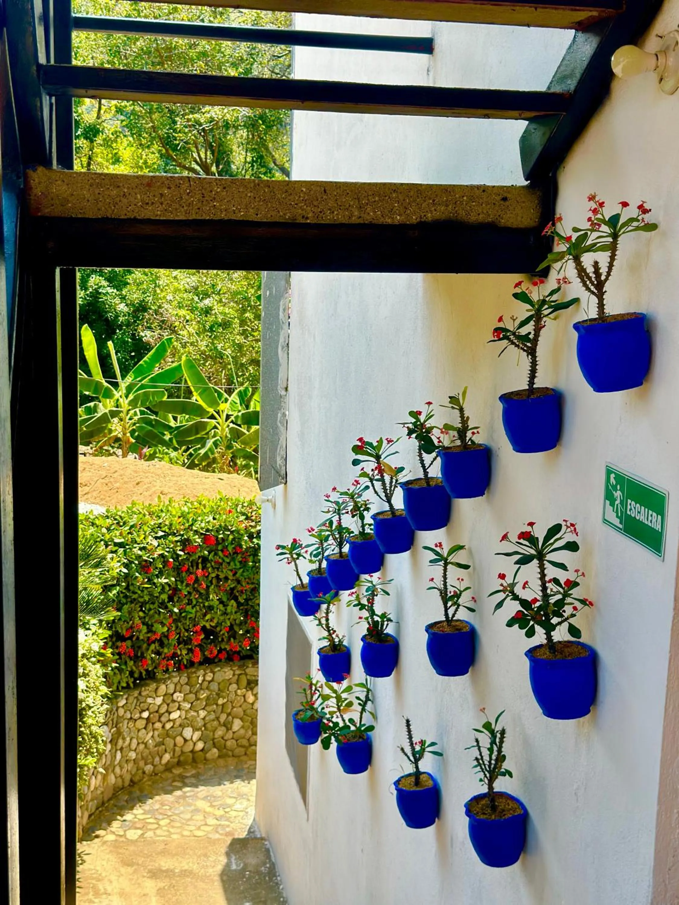 Garden view in Tayrona Angel Lodge