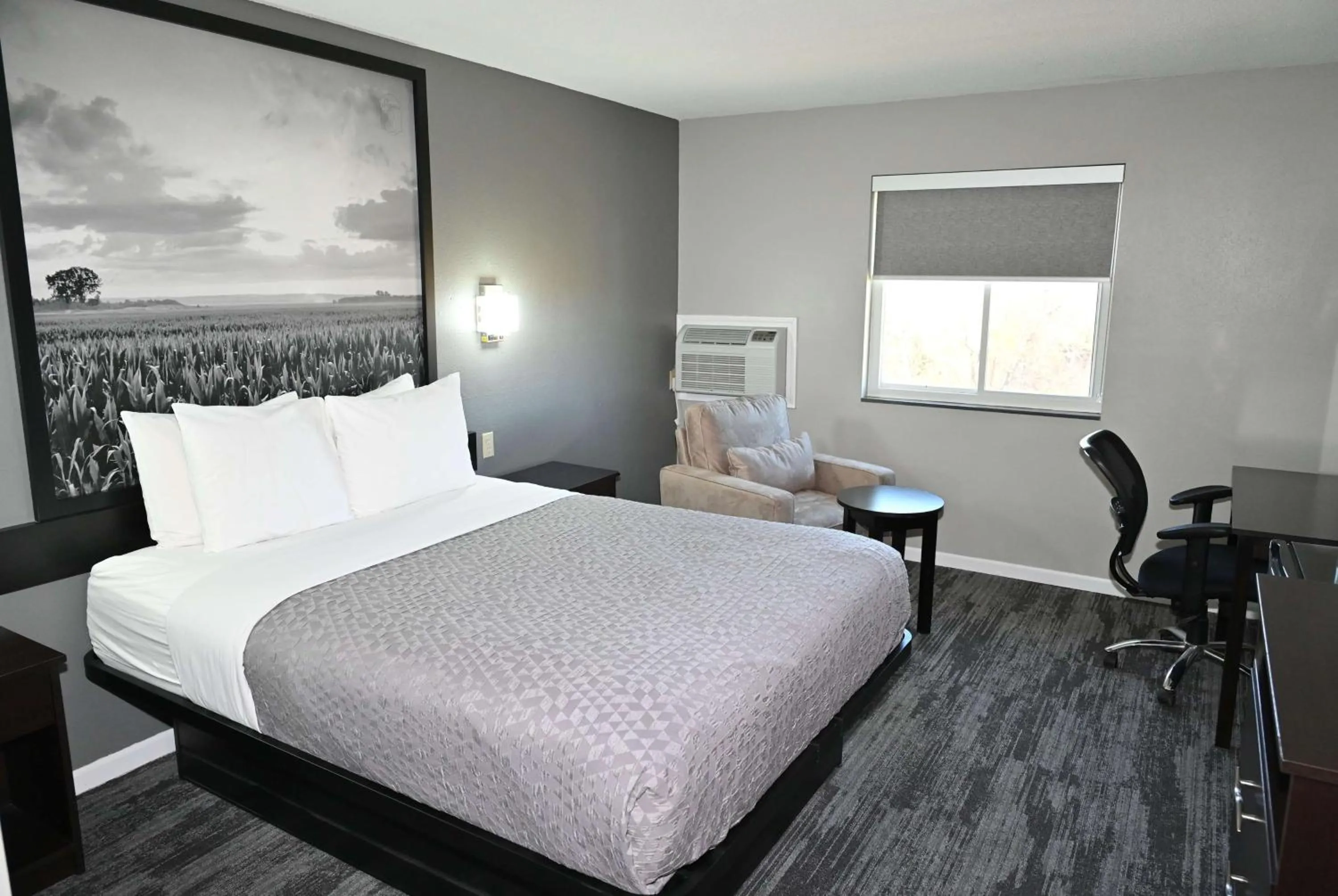 Photo of the whole room, Bed in Super 8 by Wyndham Higginsville