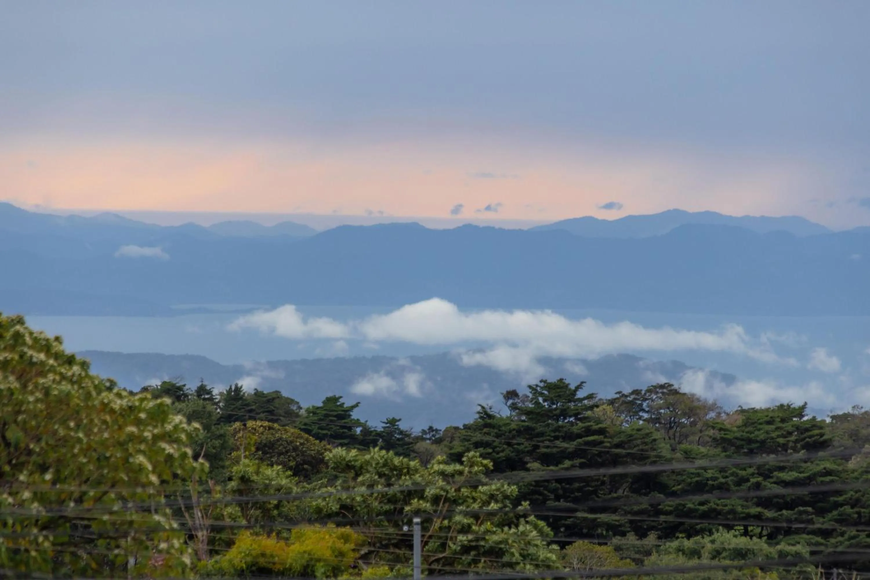 Natural landscape in Senda Monteverde Hotel Member of the Cayuga Collection