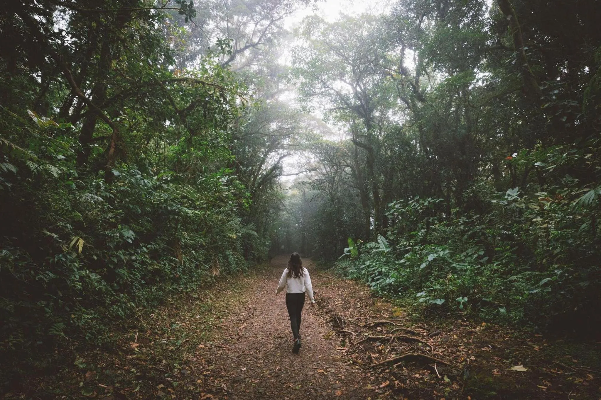Pets in Senda Monteverde Hotel Member of the Cayuga Collection