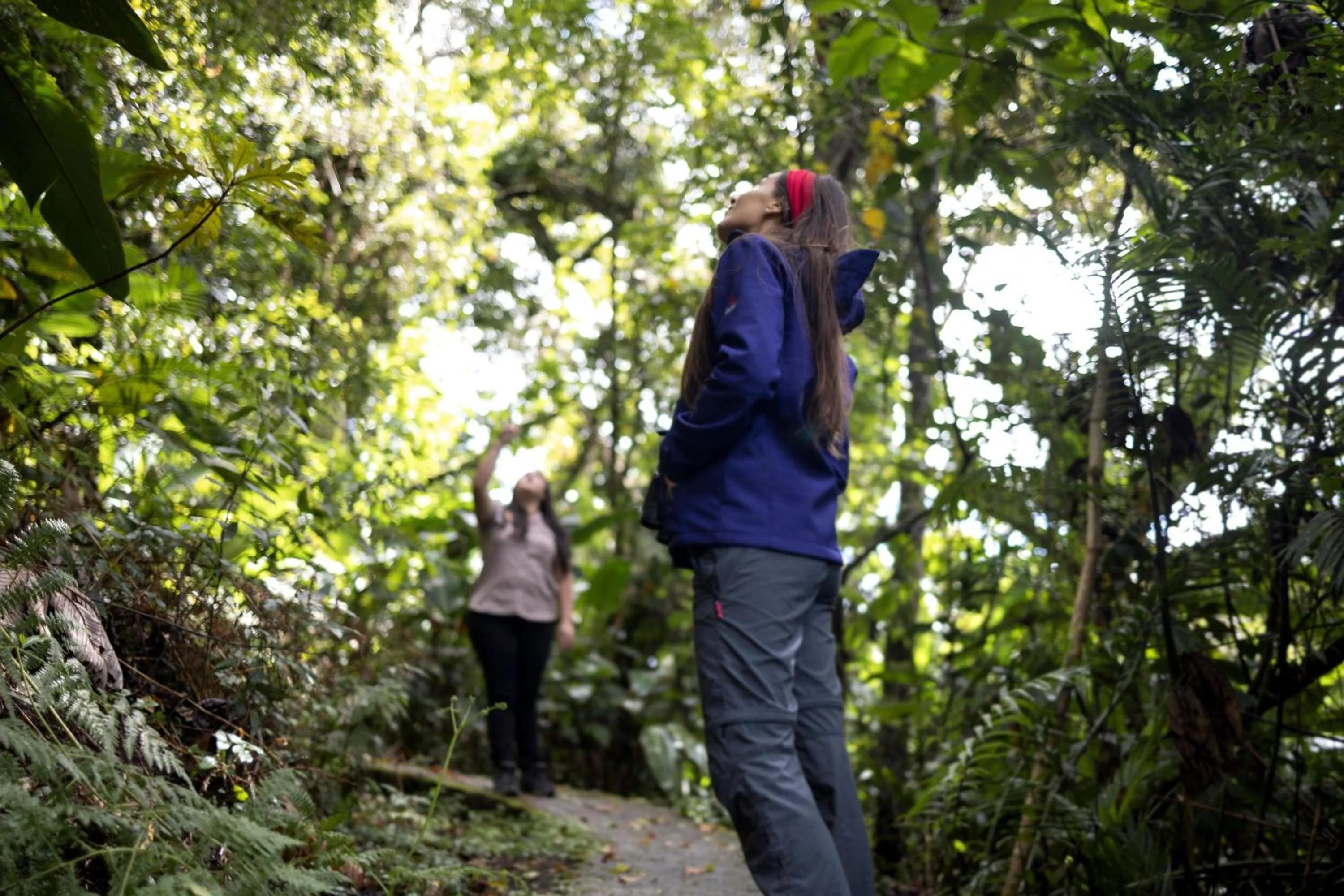 Activities in Senda Monteverde Hotel Member of the Cayuga Collection