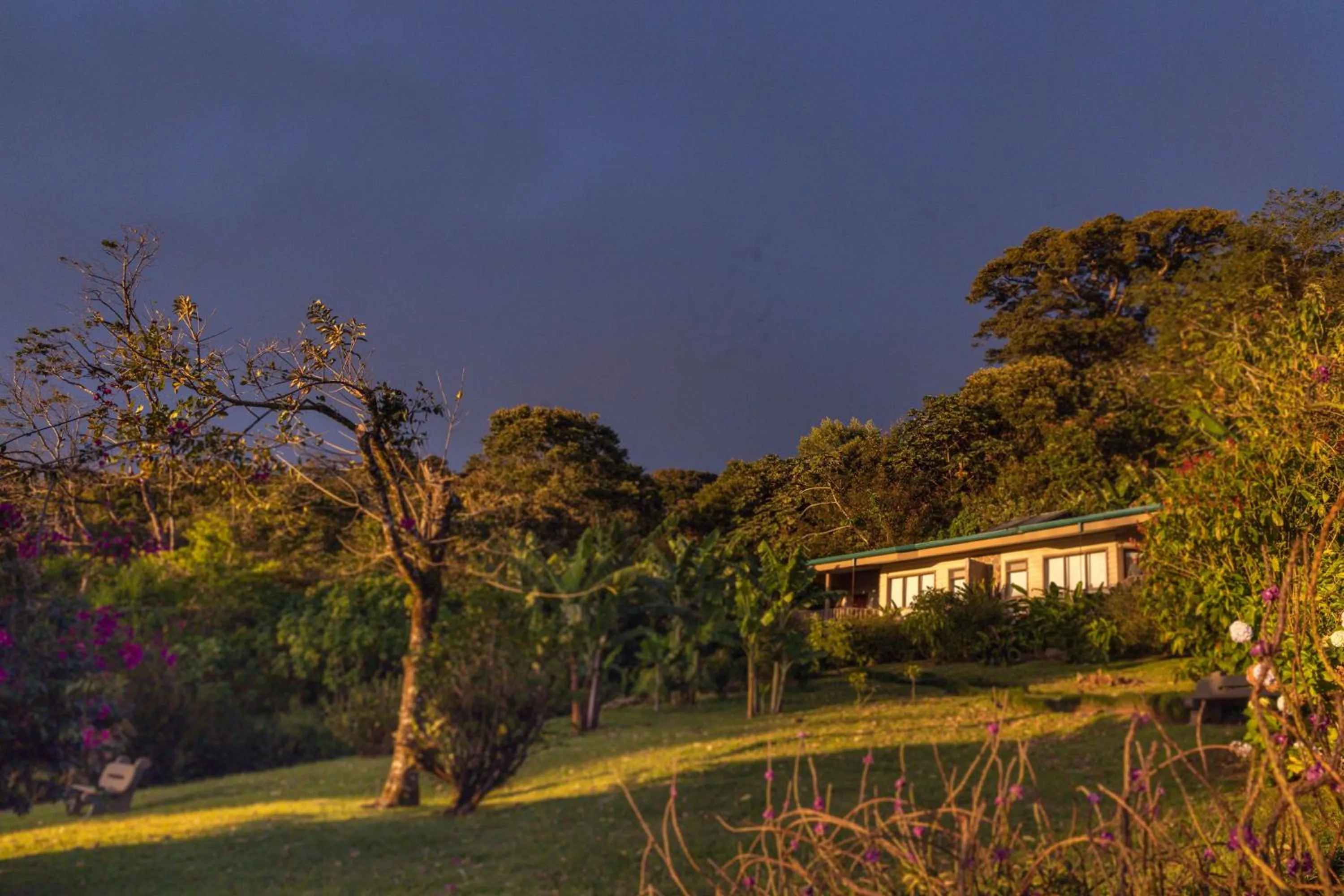 Property building in Senda Monteverde Hotel Member of the Cayuga Collection
