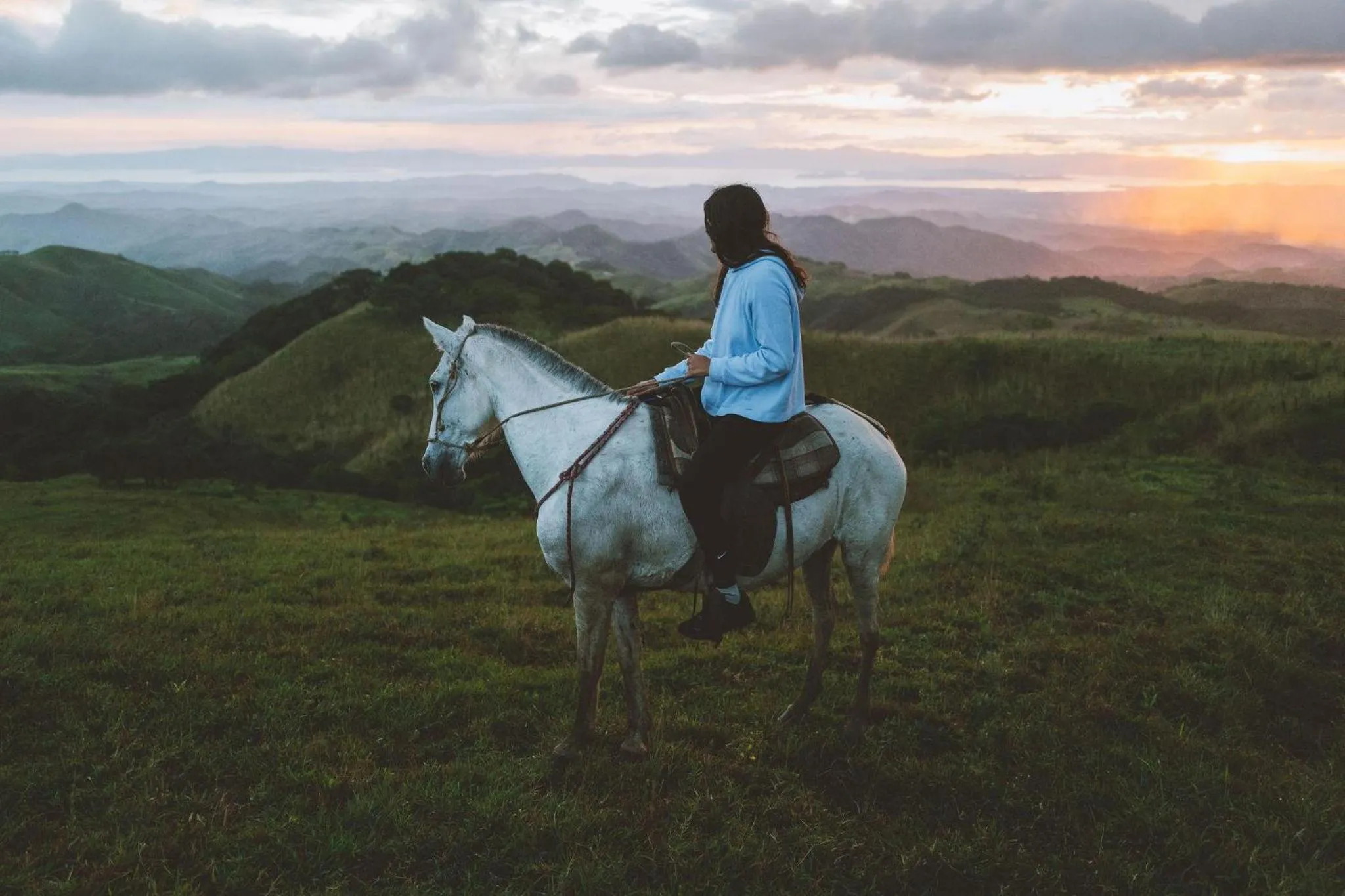 Pets in Senda Monteverde Hotel Member of the Cayuga Collection