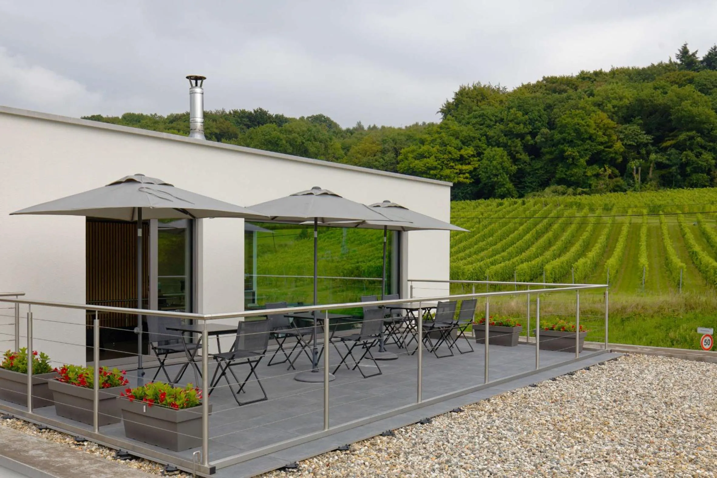 Wijndomein Zwaeneberg