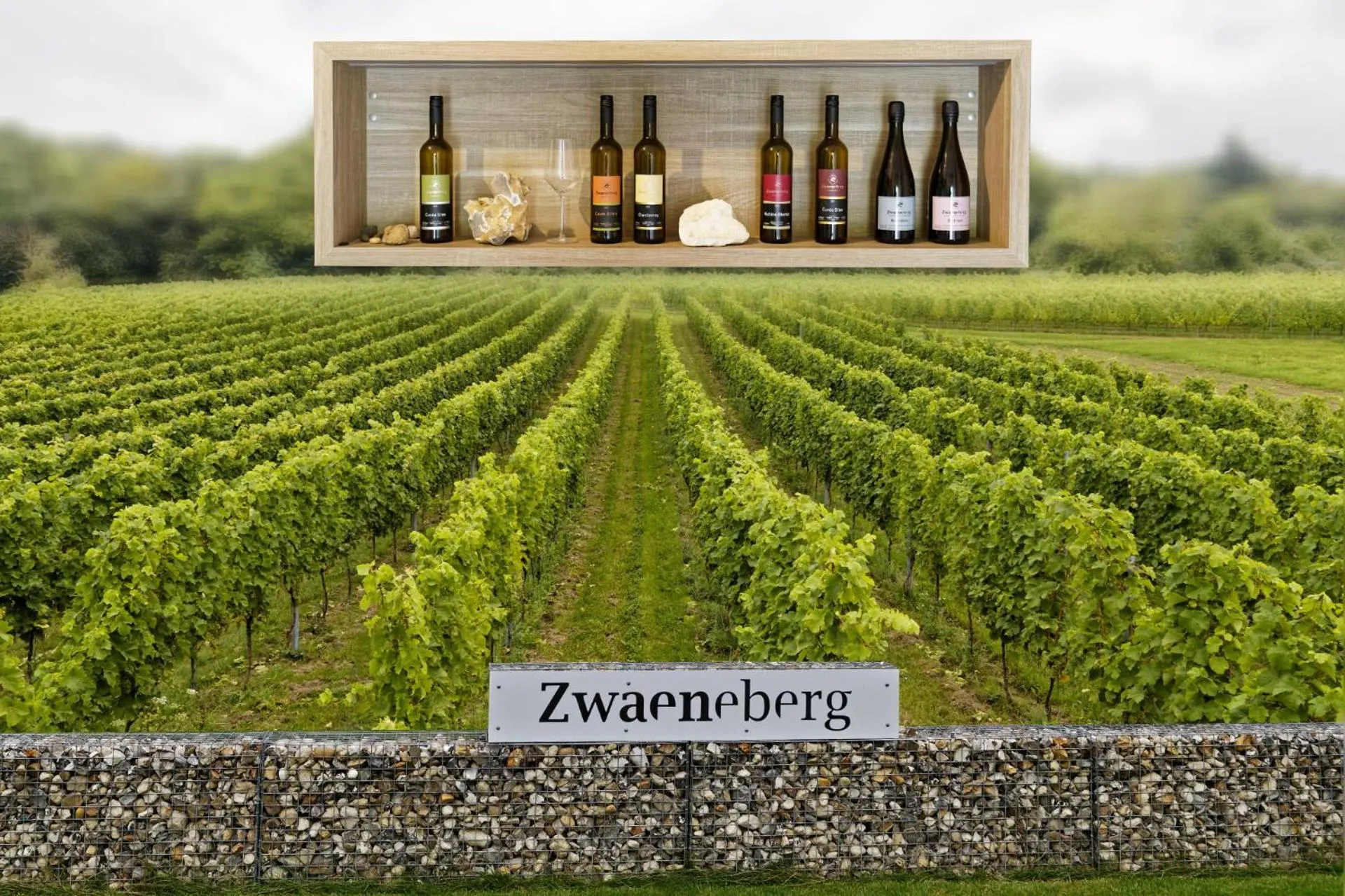 Wijndomein Zwaeneberg