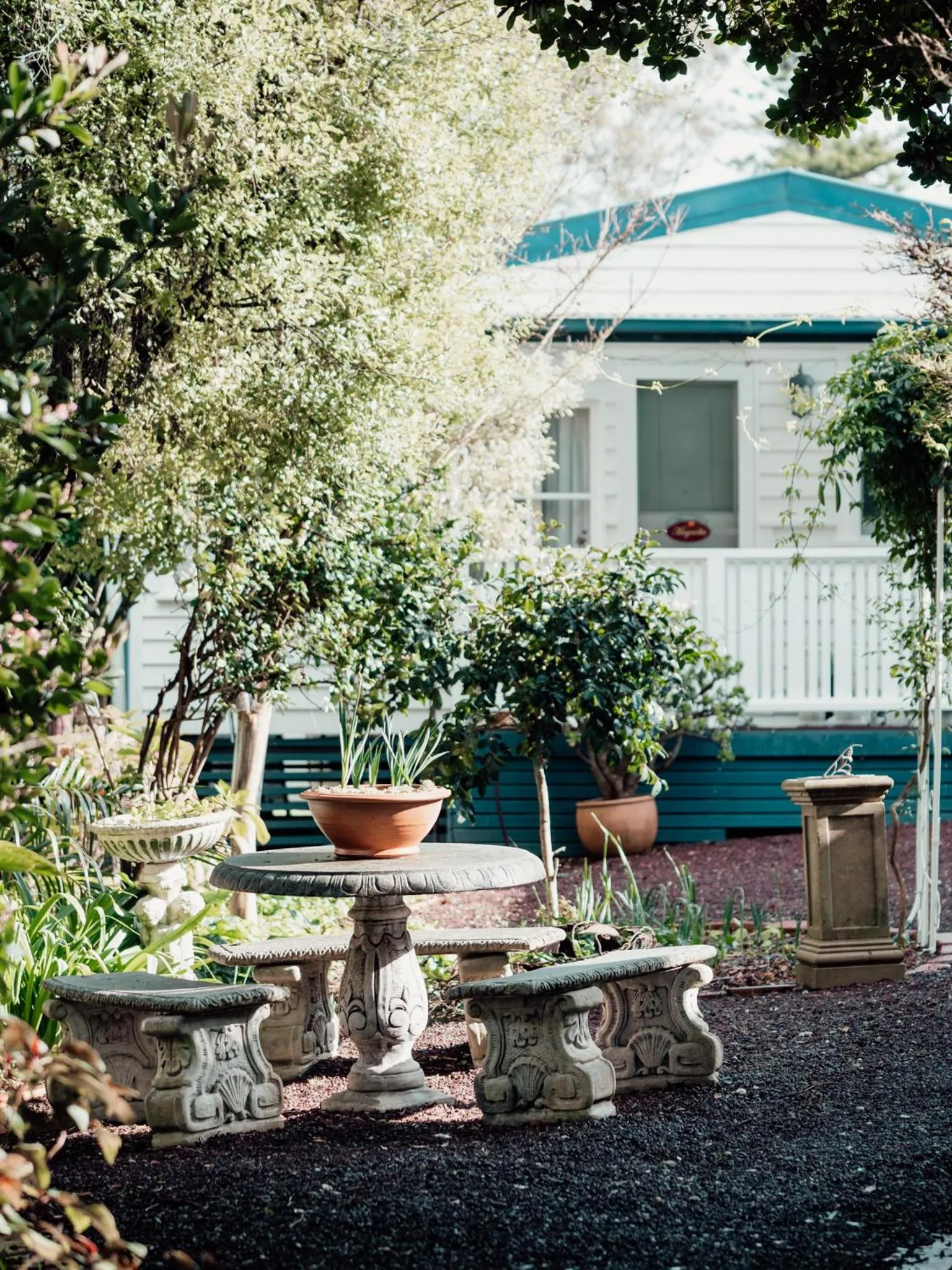 Garden in Genesta House