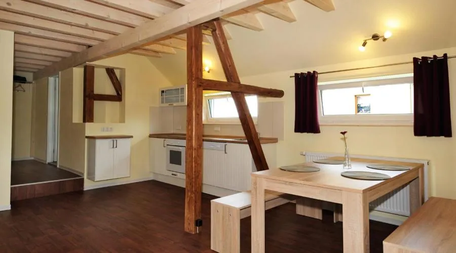 Kitchen or kitchenette in Bergoase Panorama-Apartments