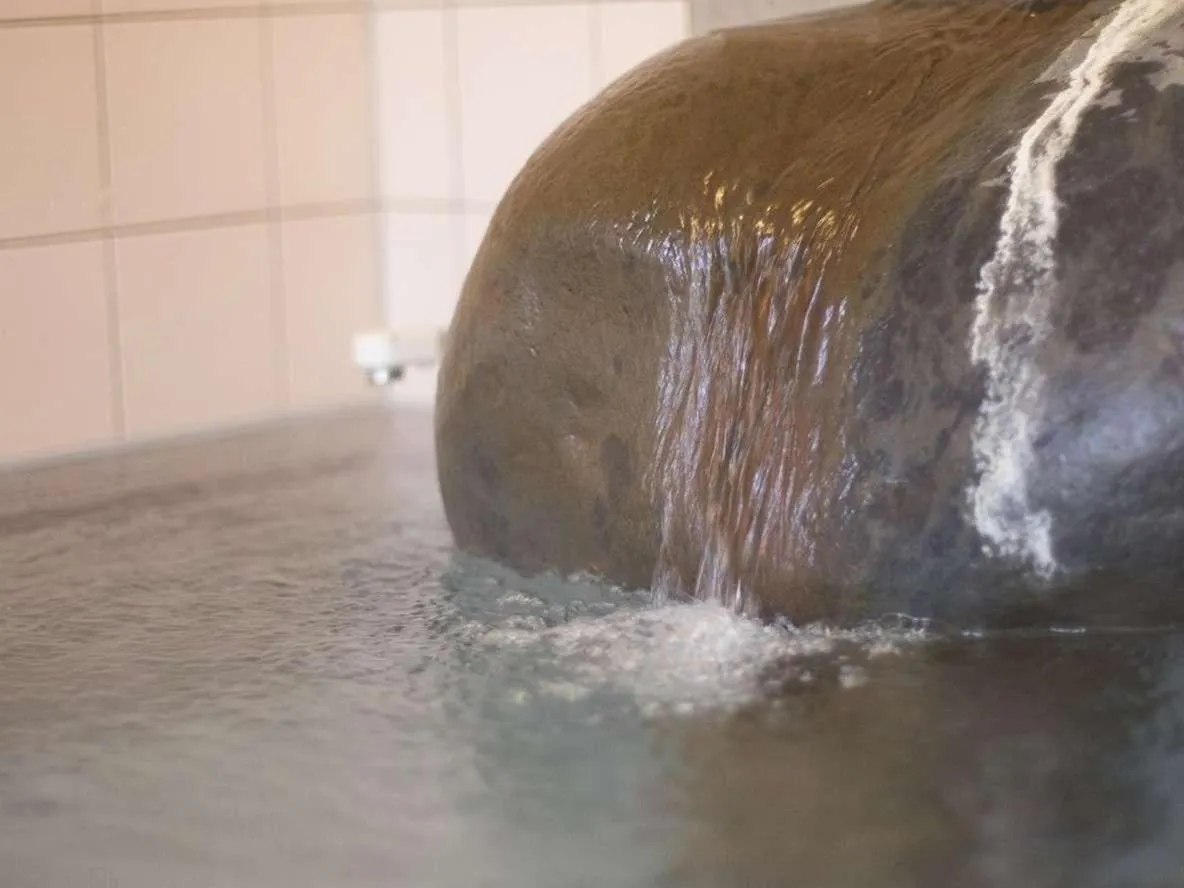 Hot Spring Bath in Oyado Ichifuji
