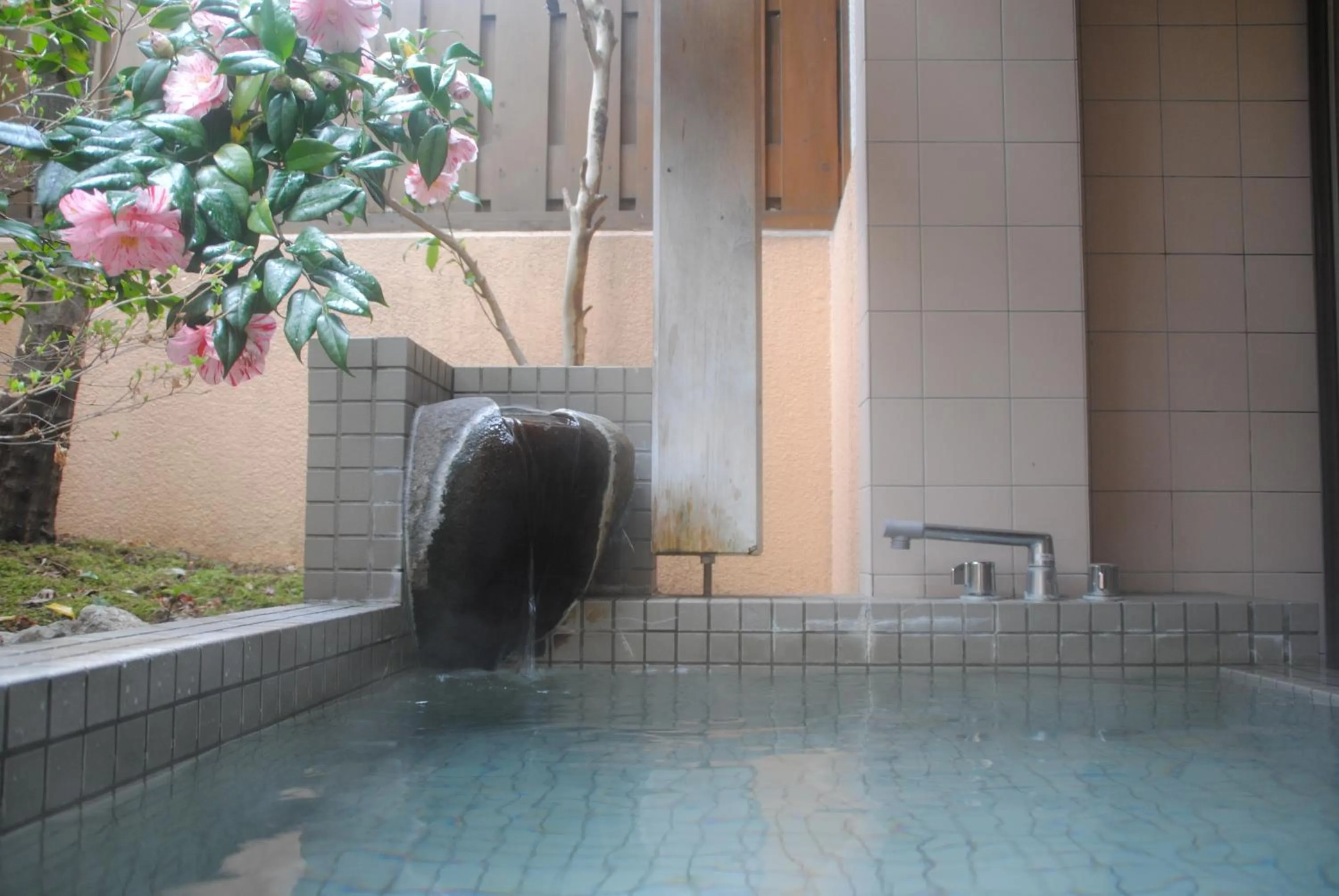 Hot Spring Bath in Oyado Ichifuji