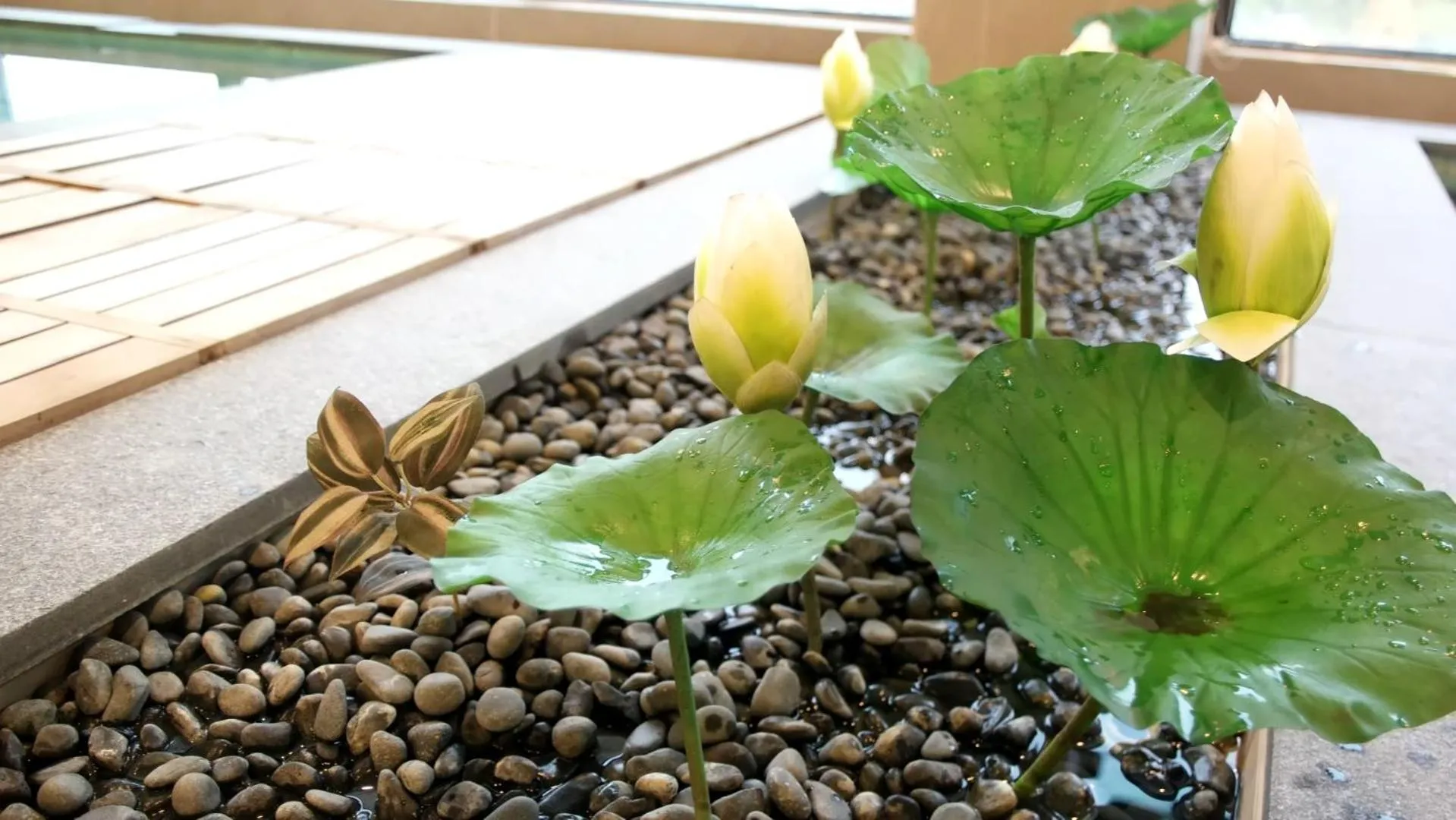 Sauna in Hotel Maremons