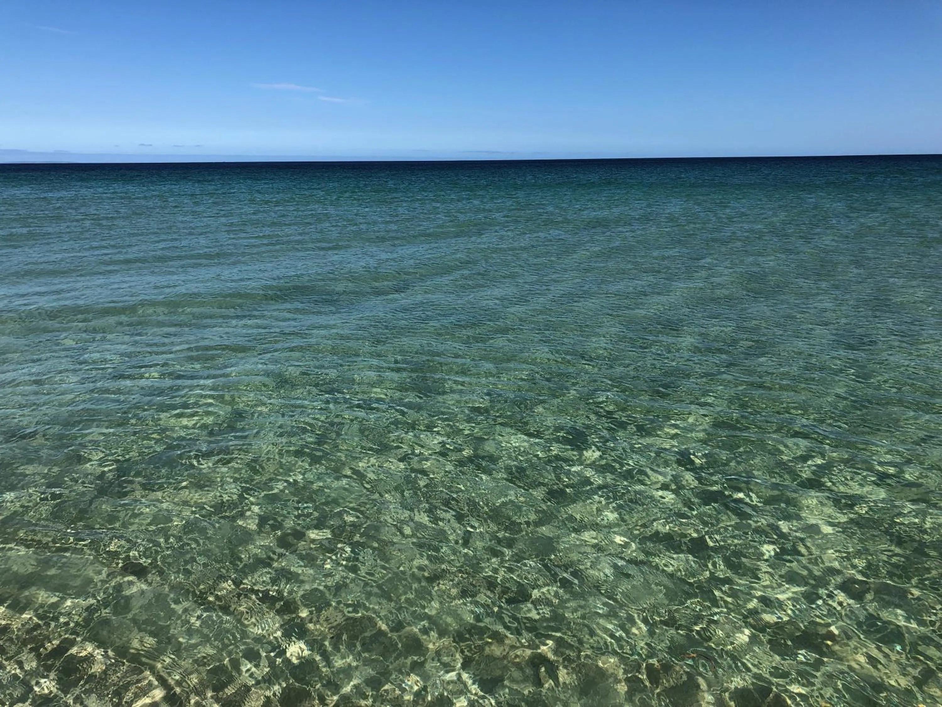 Natural landscape in Peppermint Grove Beach Holiday Park