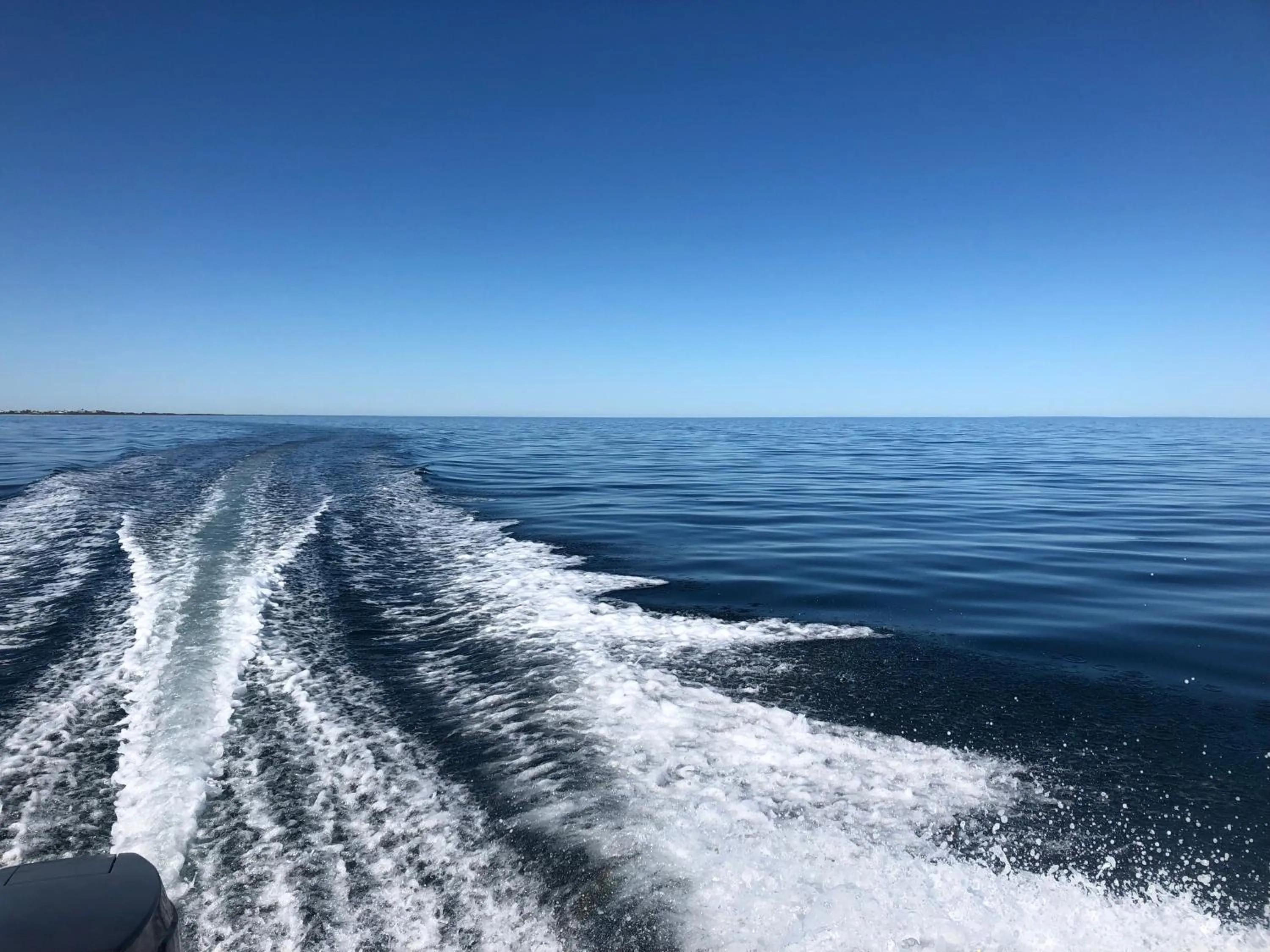 Natural landscape in Peppermint Grove Beach Holiday Park