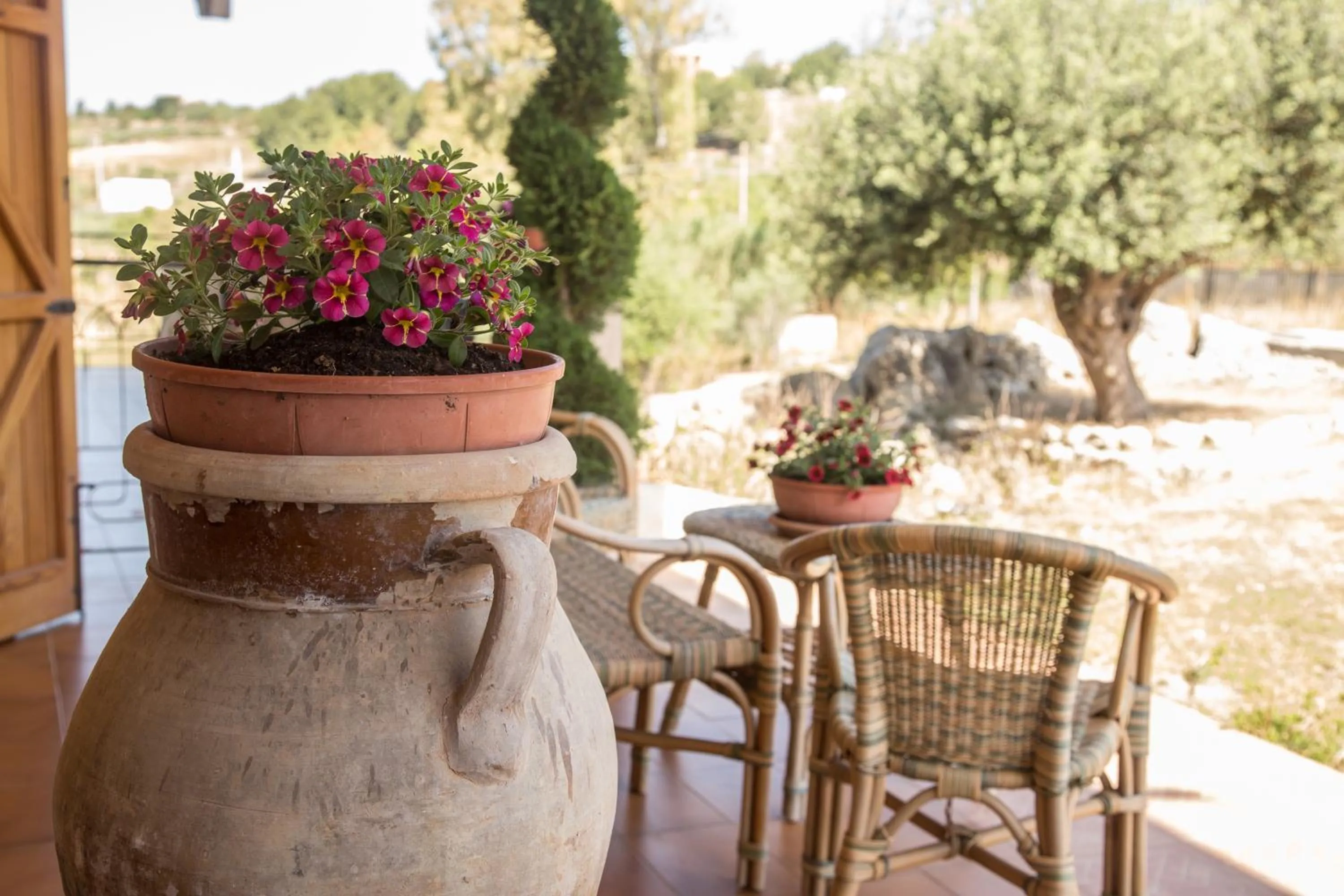 Balcony/Terrace in Villa Diana