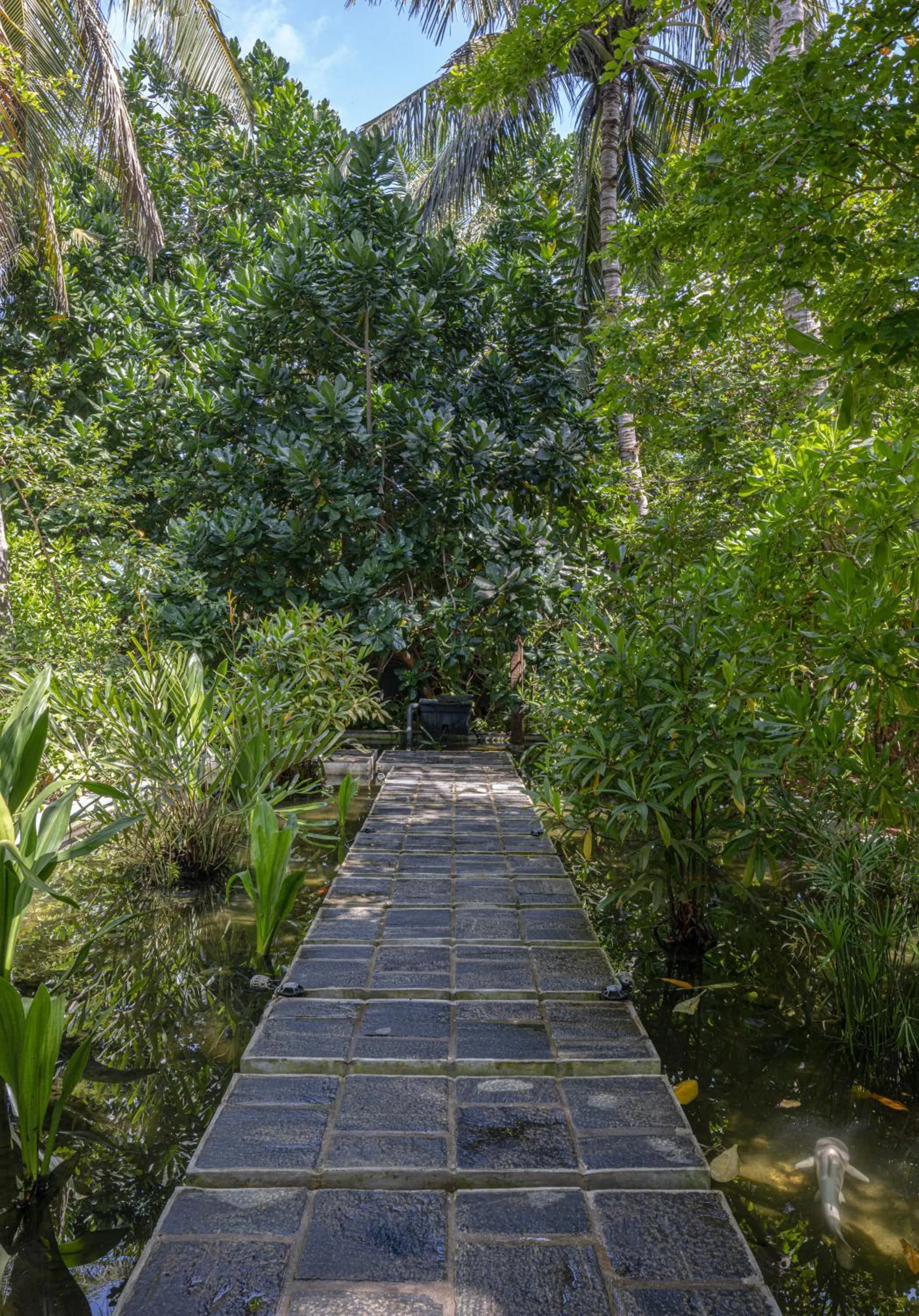 Natural landscape in Ayana Sea