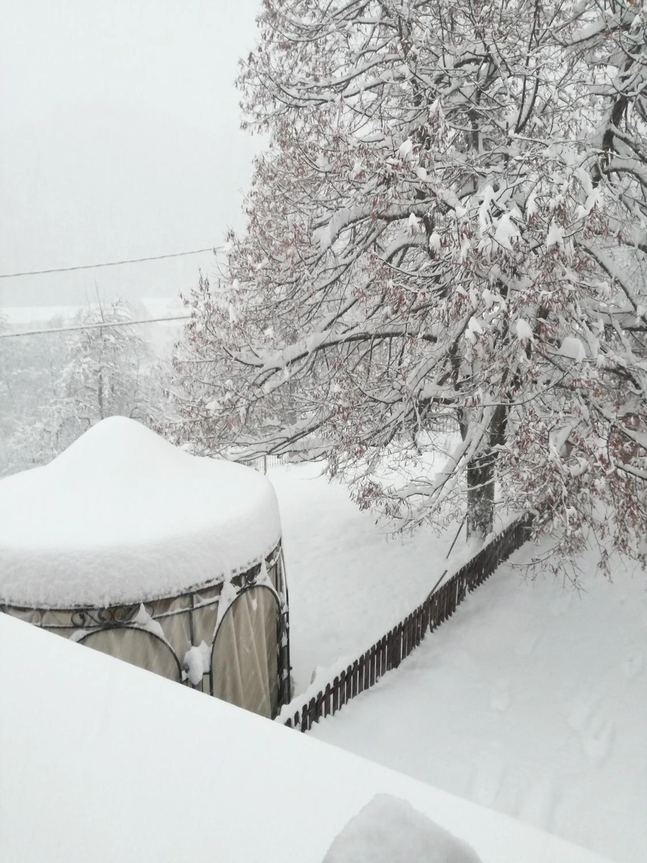 Garden in B&B Casa dell'Orso