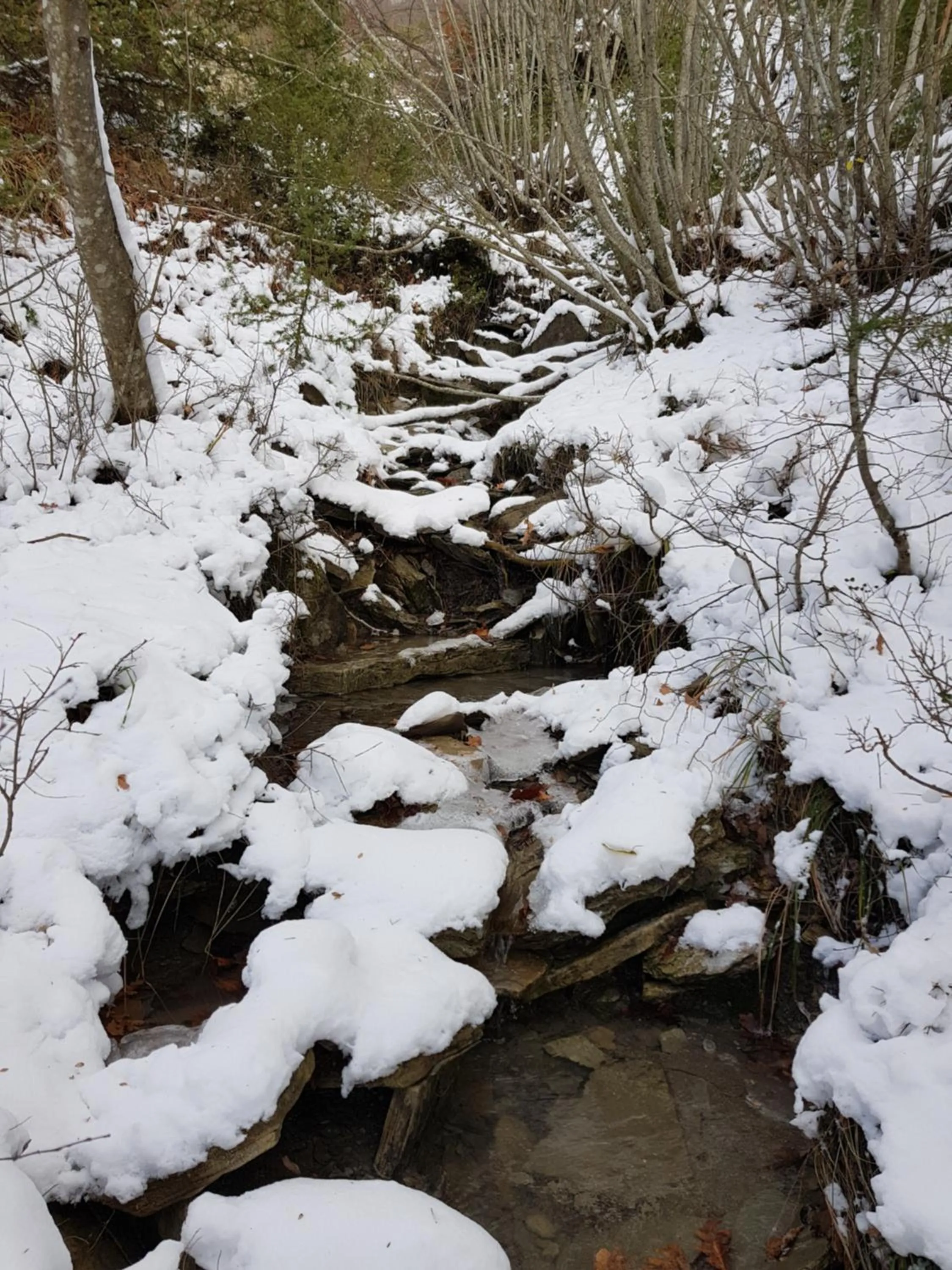 Natural landscape in Alla Battuta