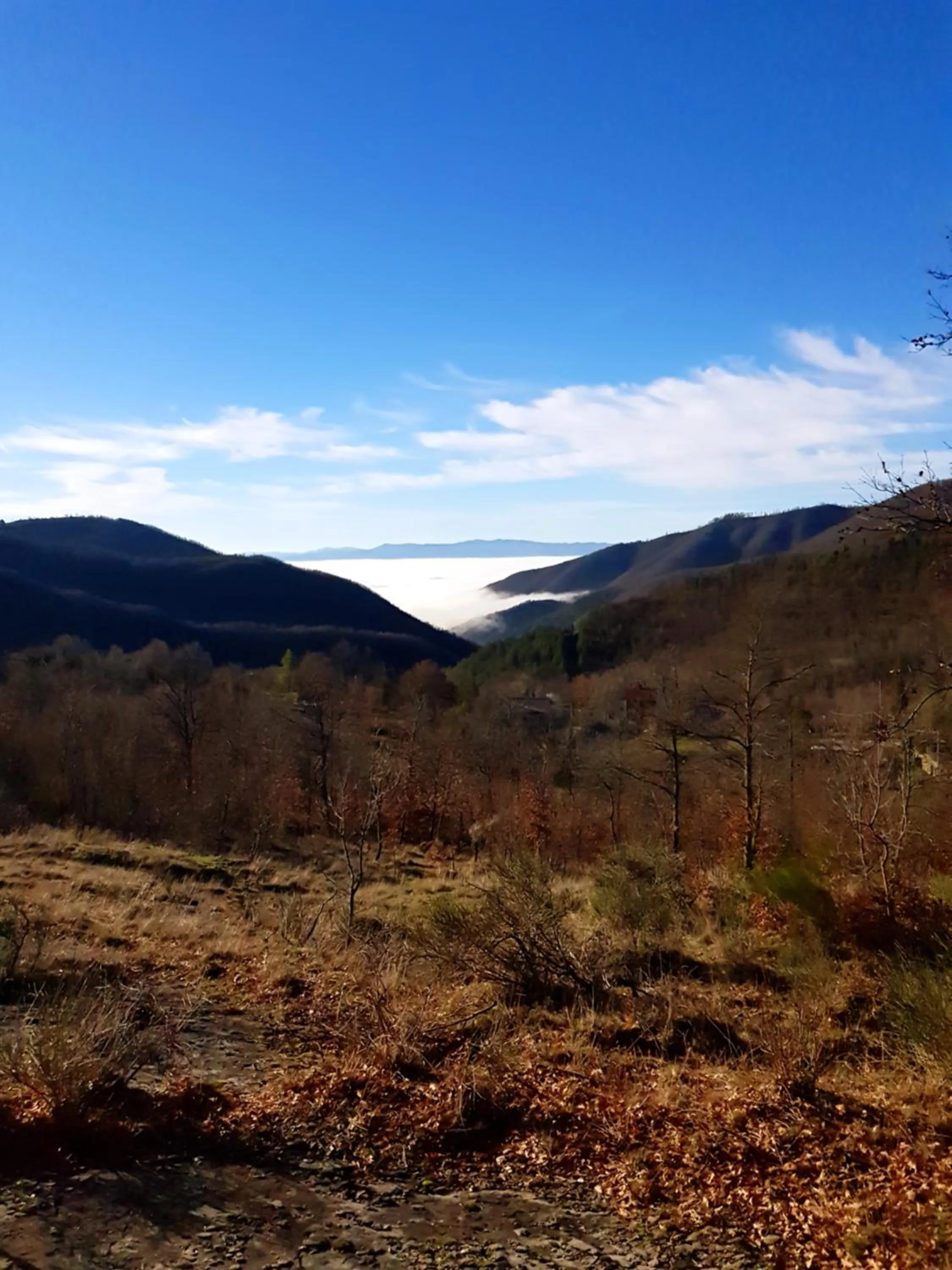 Natural landscape in Alla Battuta