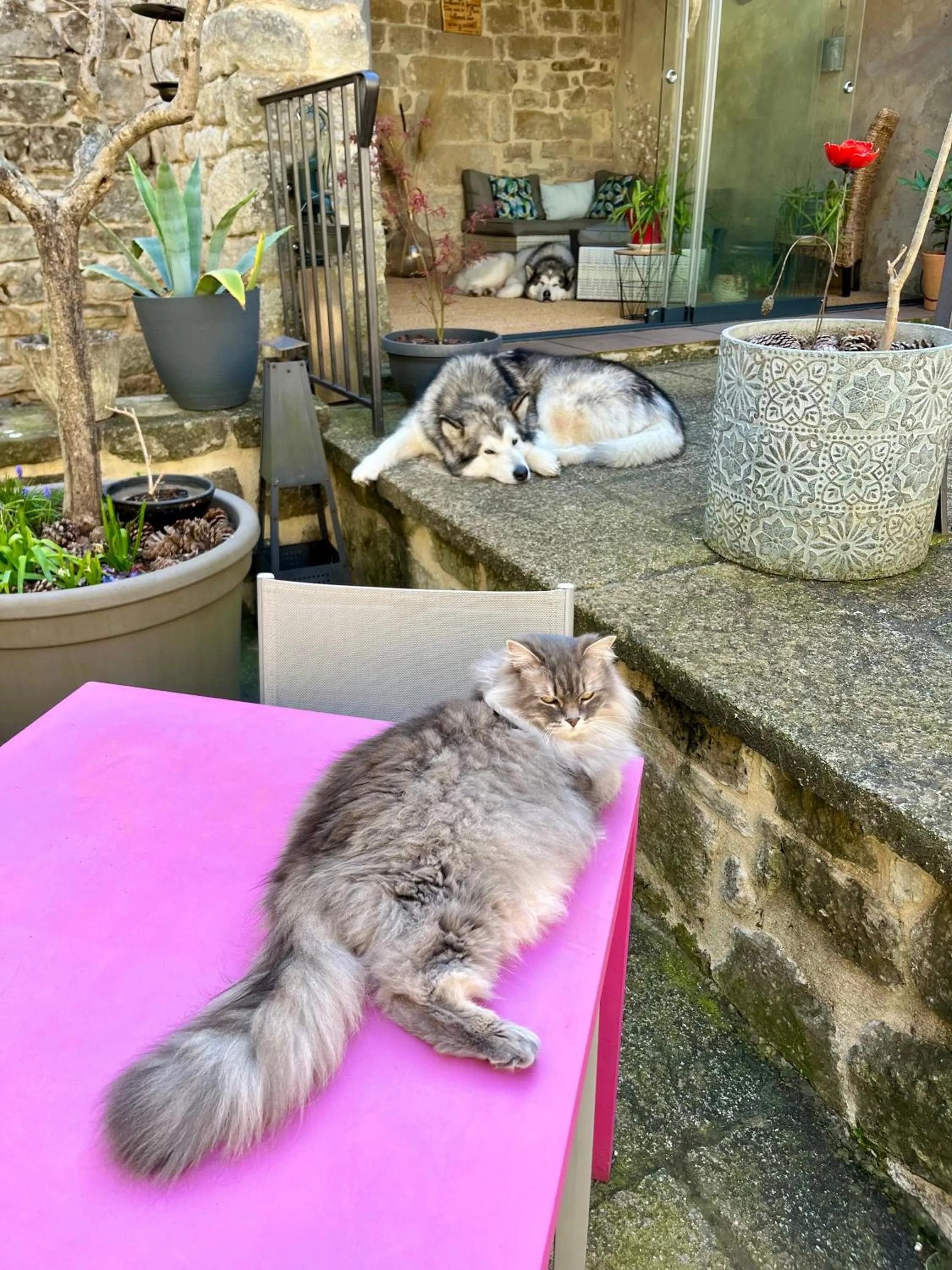 Le Mas des Loges - Les Vans / Chambonas