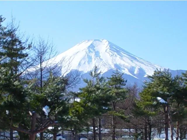 View (from property/room) in Ryokan Fujitomita
