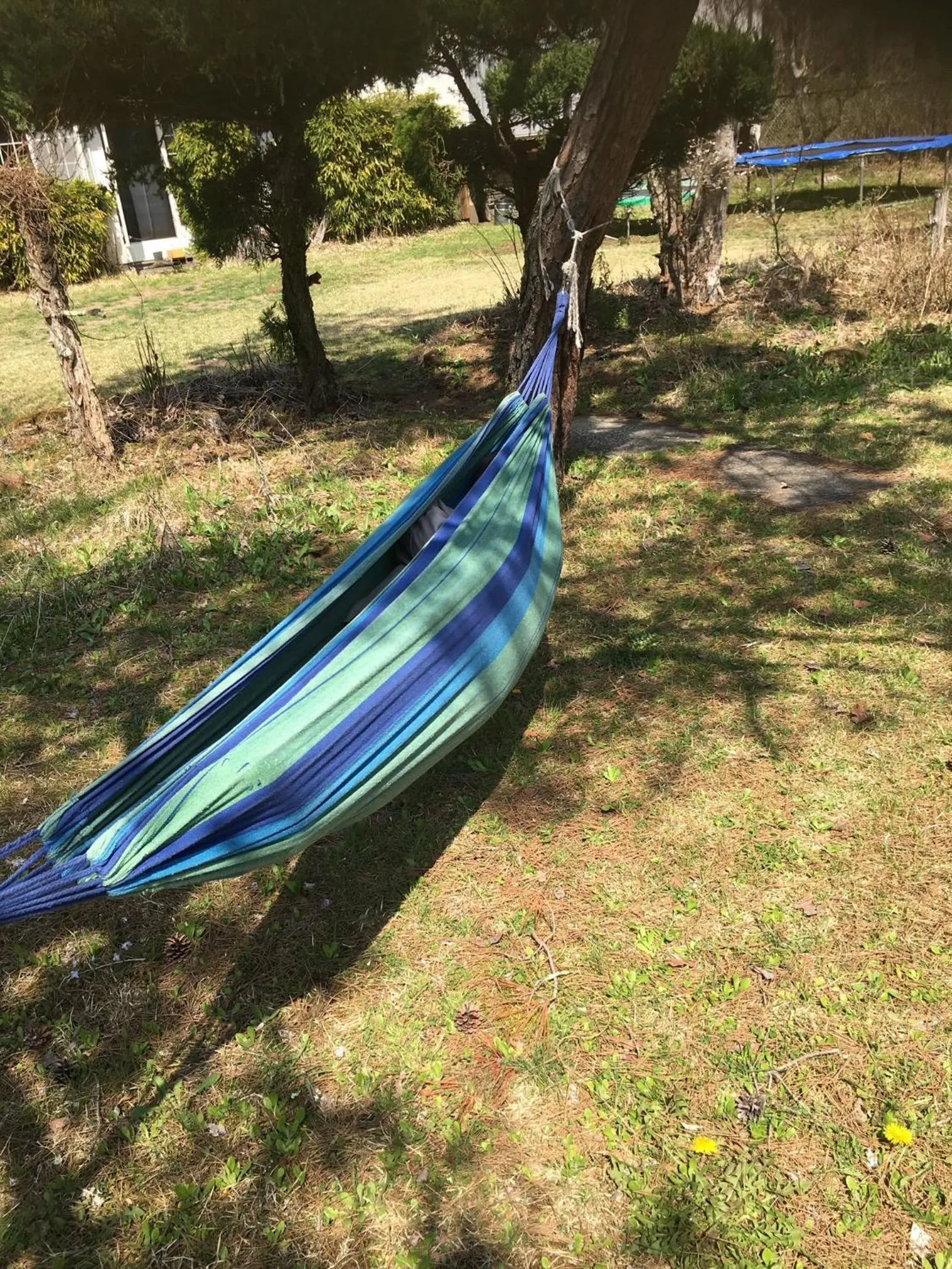 Garden in Ryokan Fujitomita
