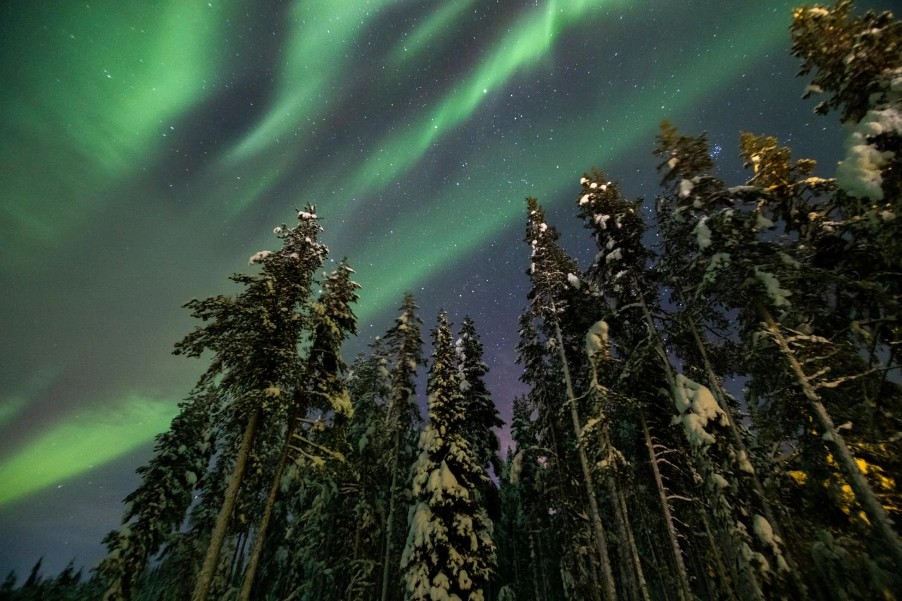 Natural landscape in Northern Lights Village Levi