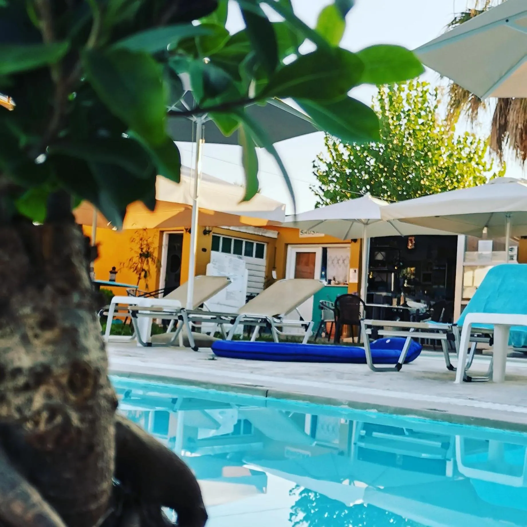 Area and facilities in Sausan Hotel