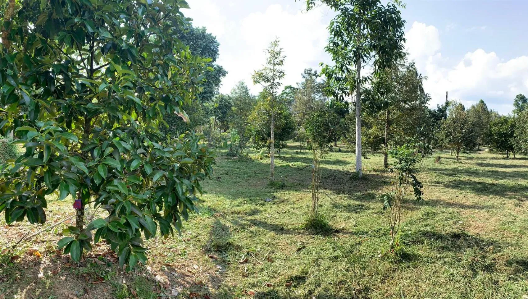 Taluangjit Resort&Garden