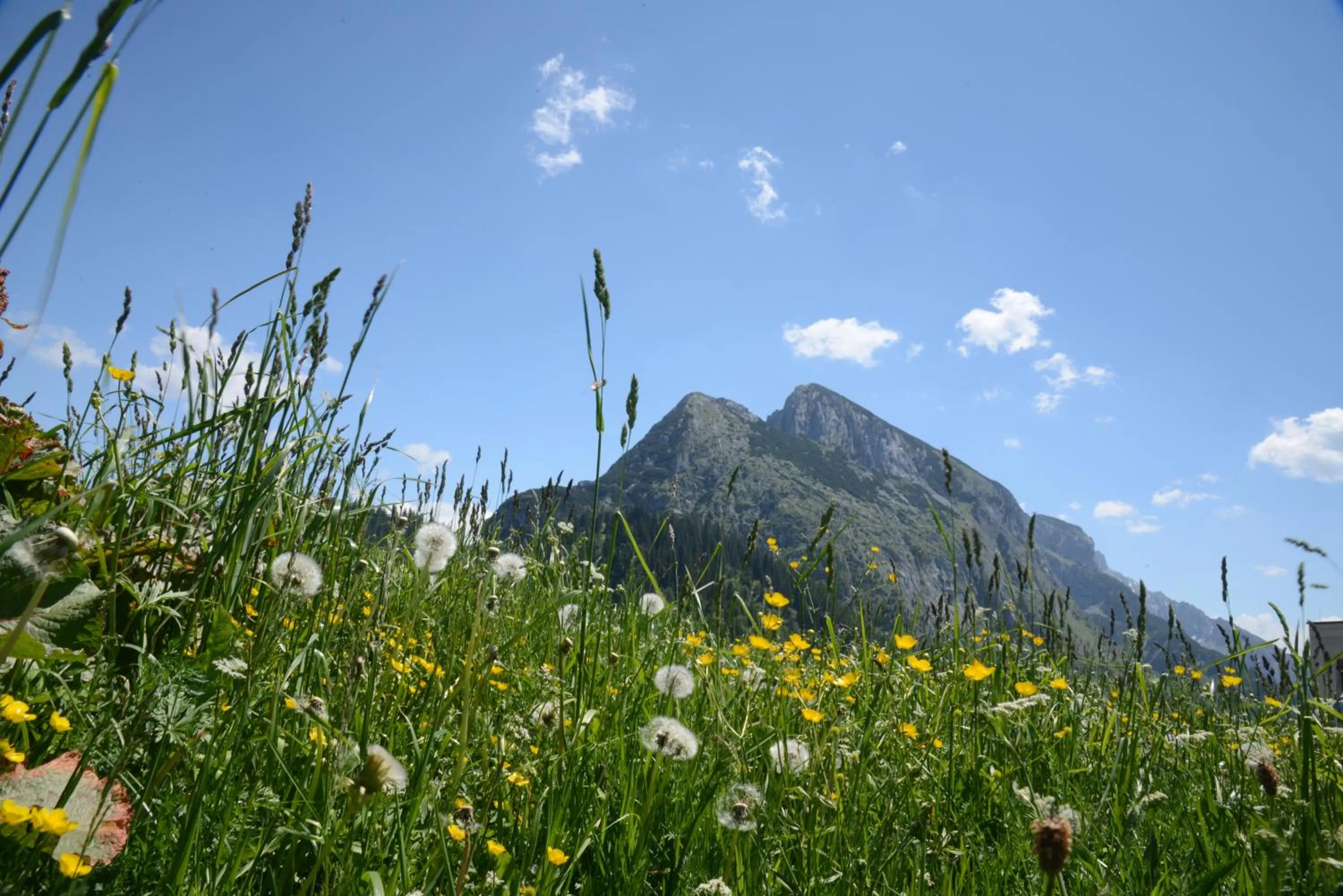 Mountain view in Der Alpenblick