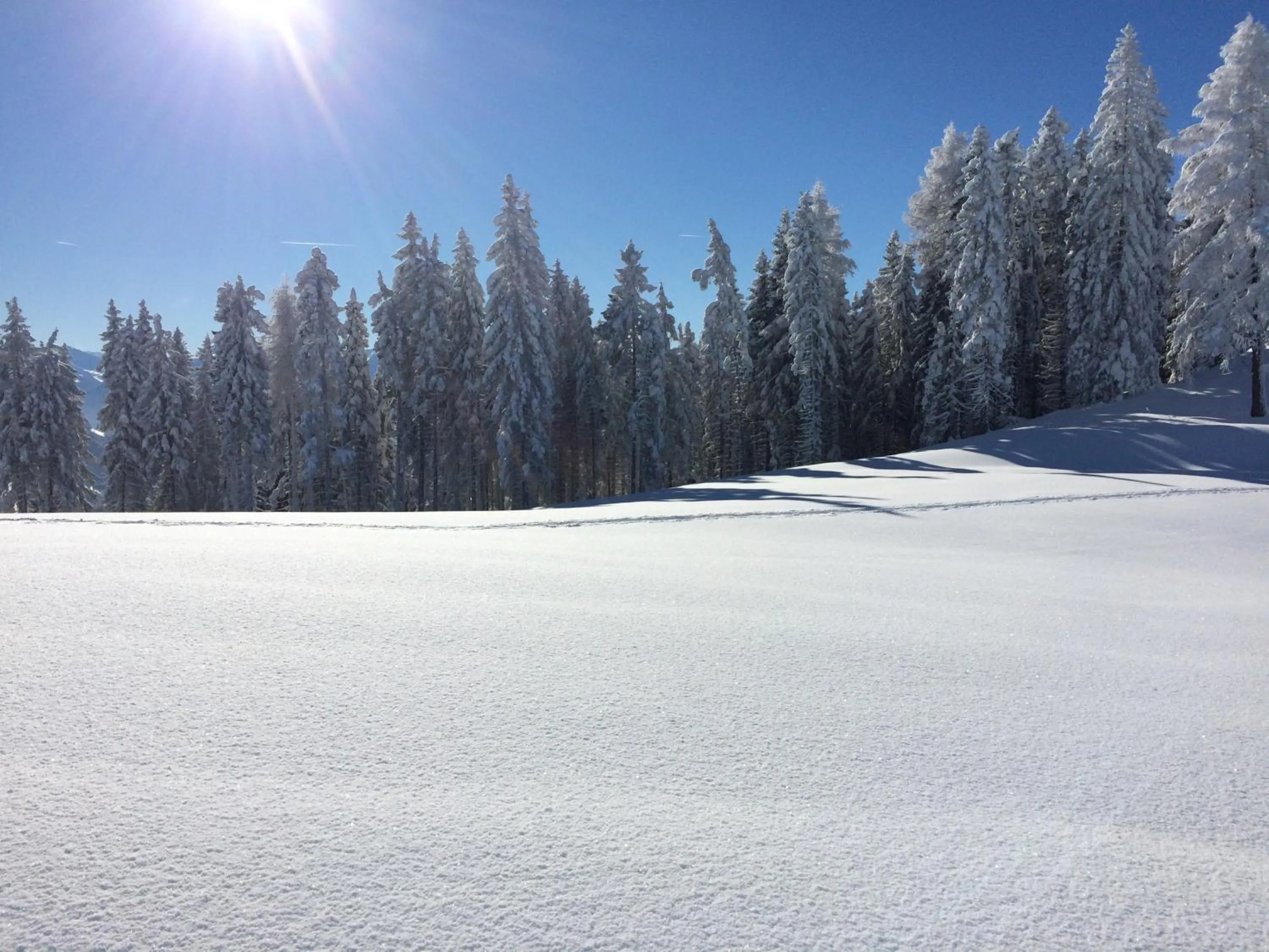 Balcony/Terrace in Der Alpenblick