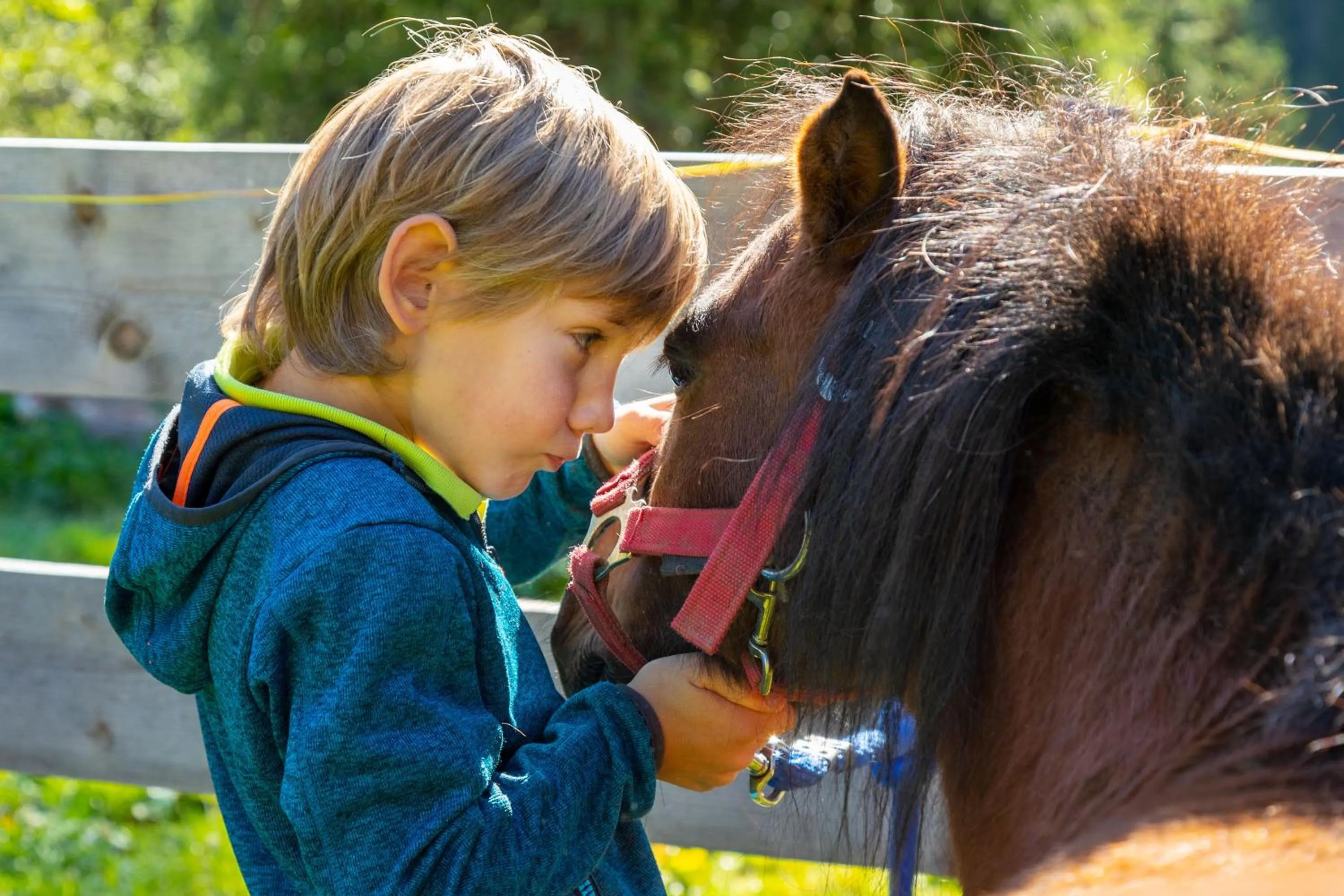 Summer in Hotel Bella Vista