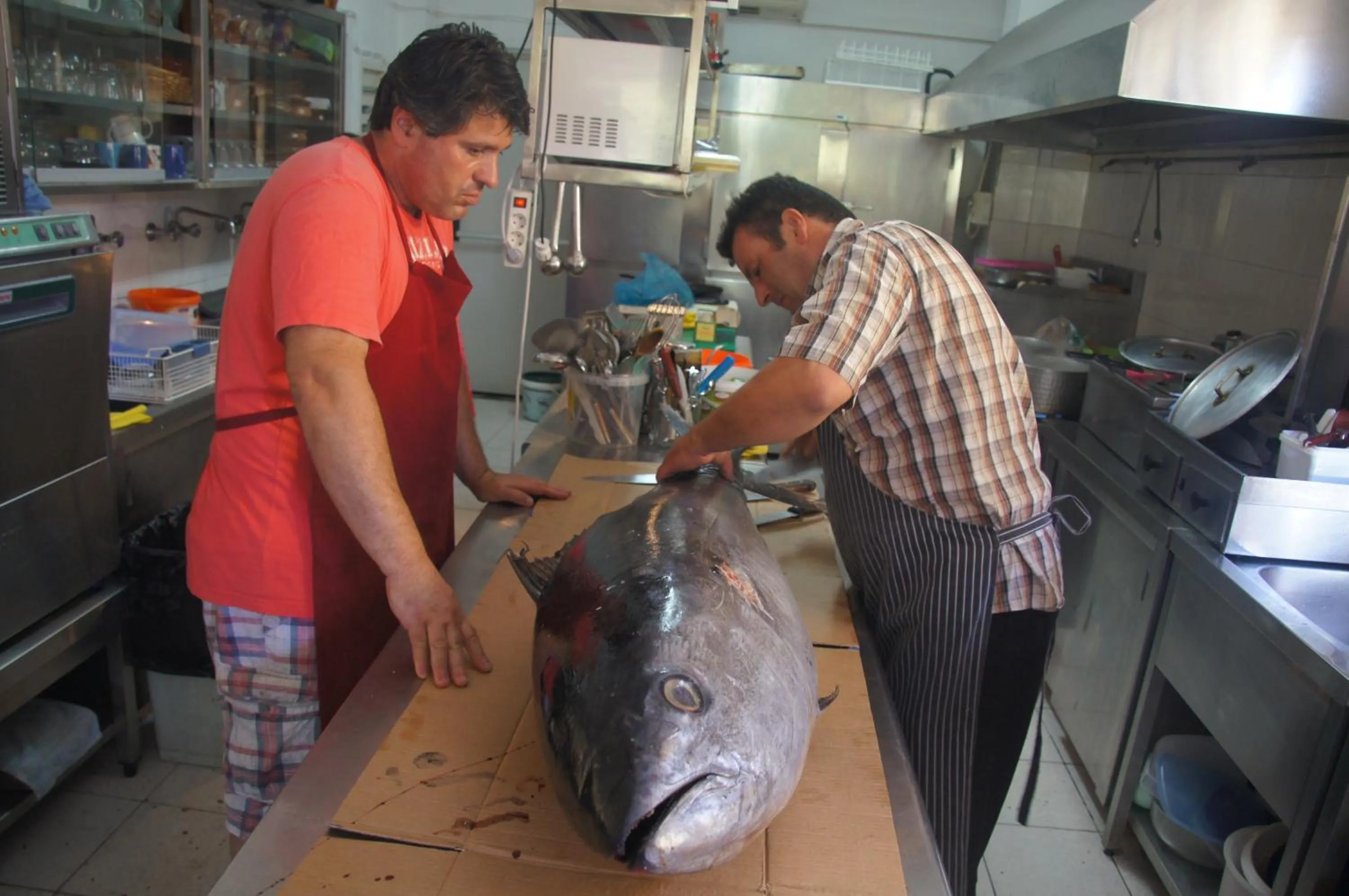 Dinner in Limnionas Bay Village Hotel
