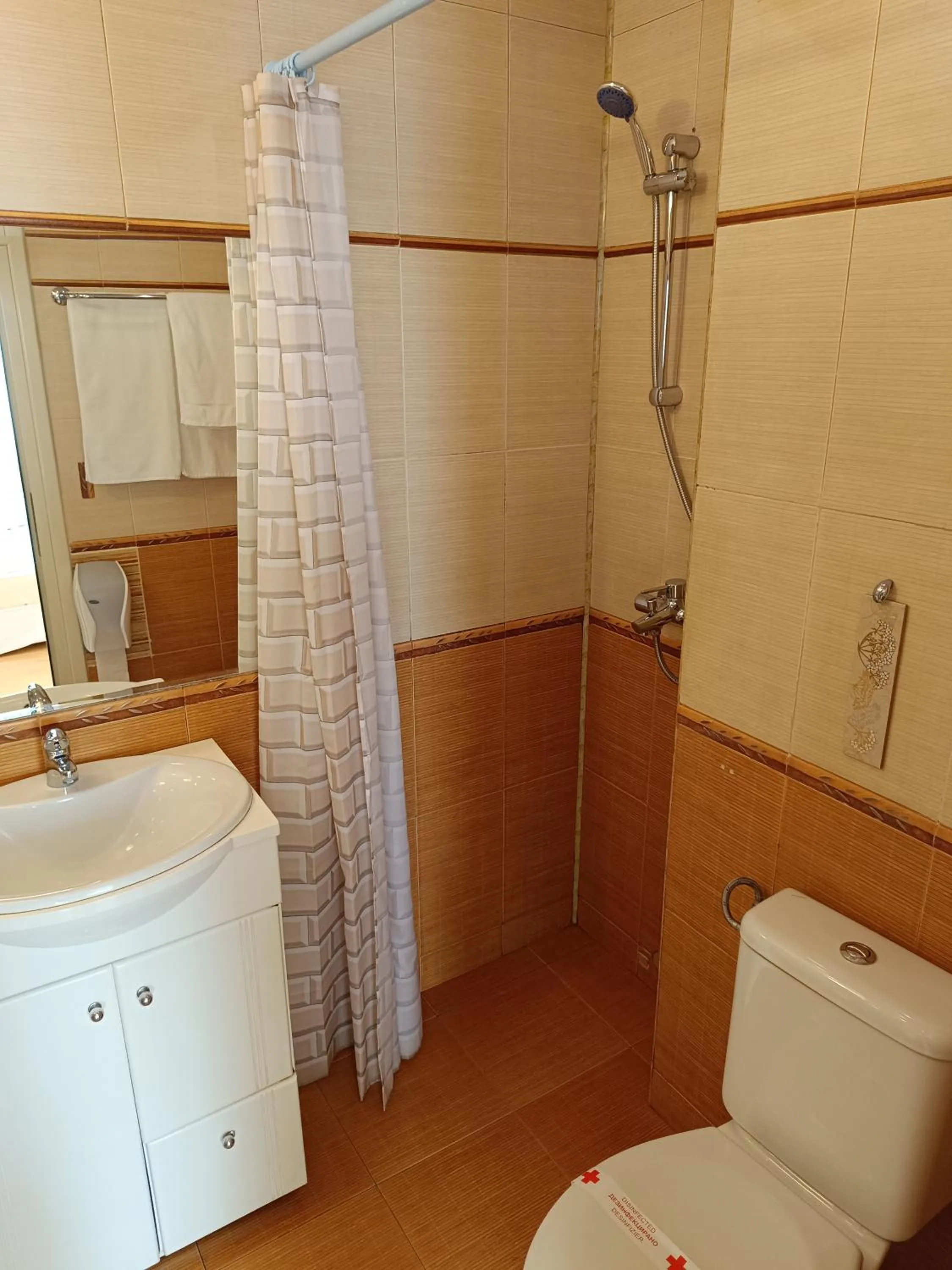 Toilet in Family Hotel Rai