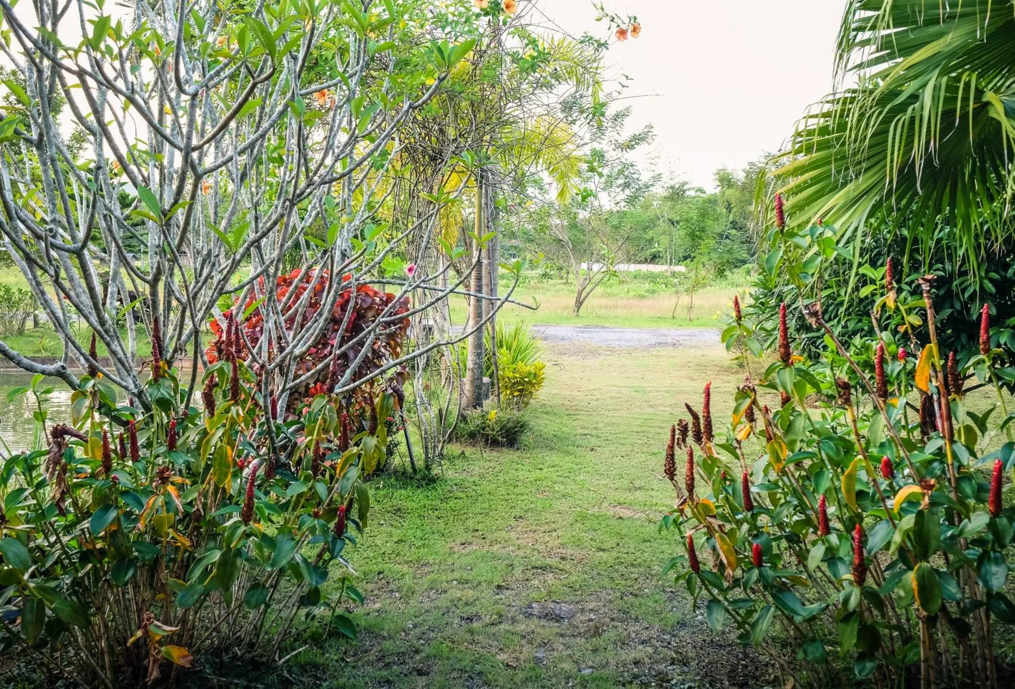 Rommai Villa Chiang Rai