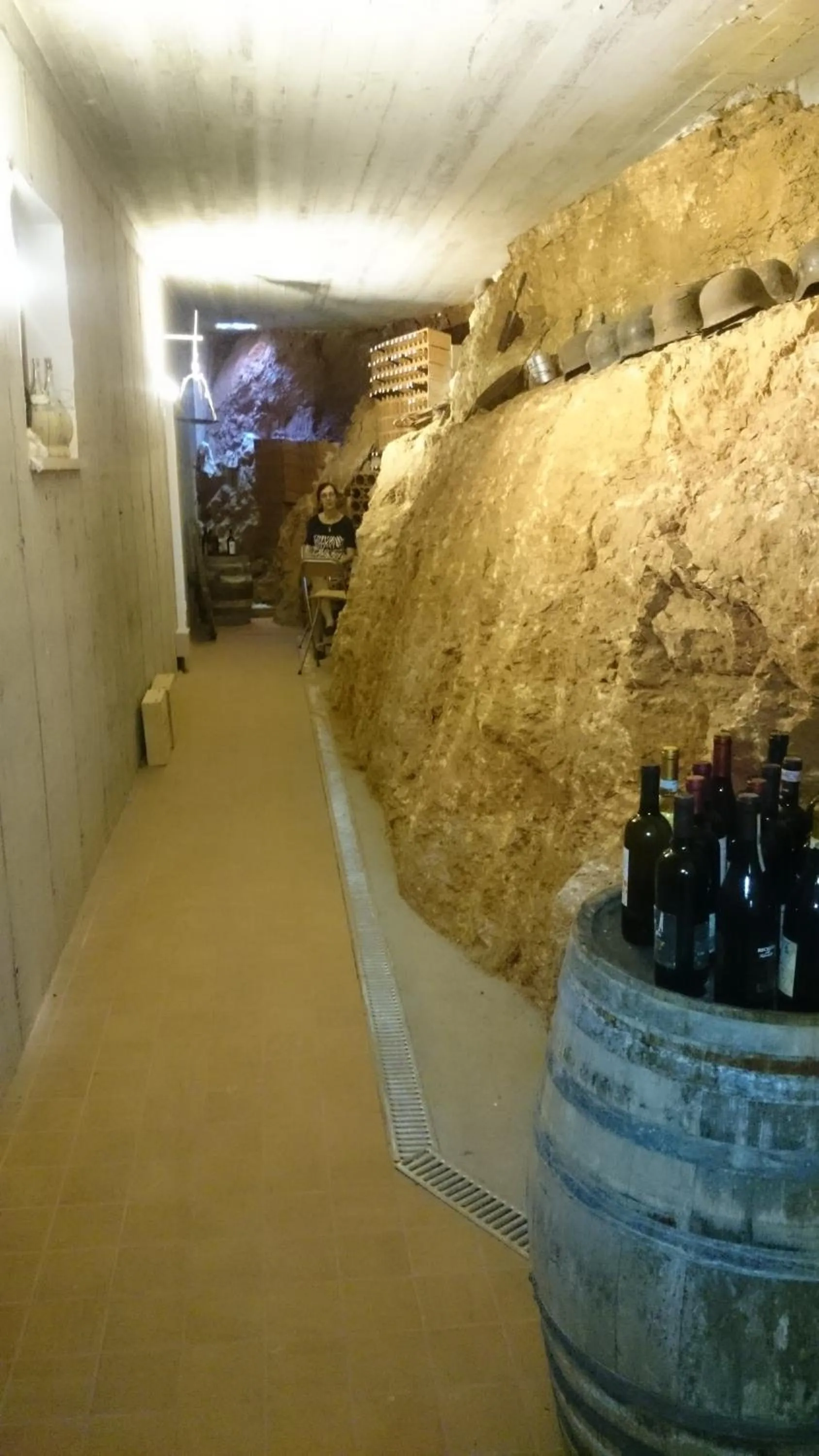 Area and facilities in B&B Happy Guest