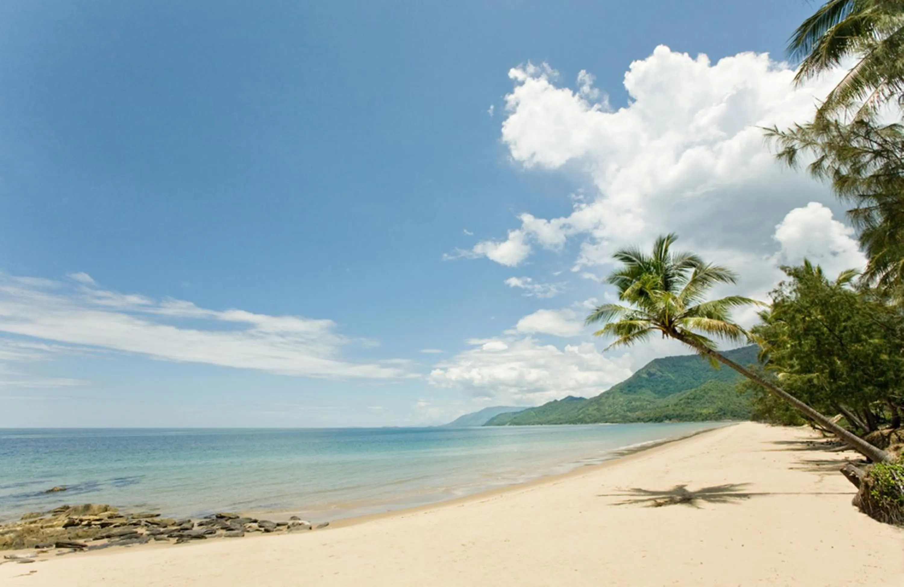 Beach in Thala Beach Nature Reserve