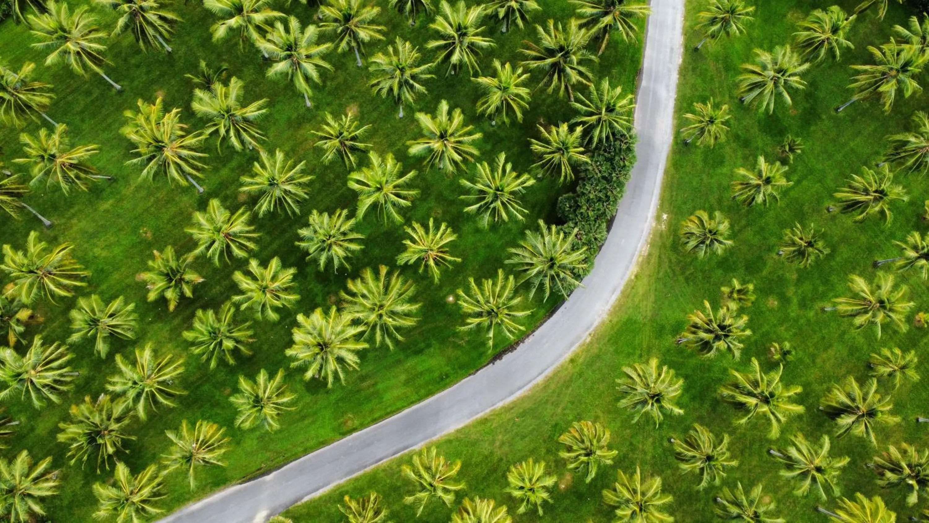 Facade/entrance in Thala Beach Nature Reserve