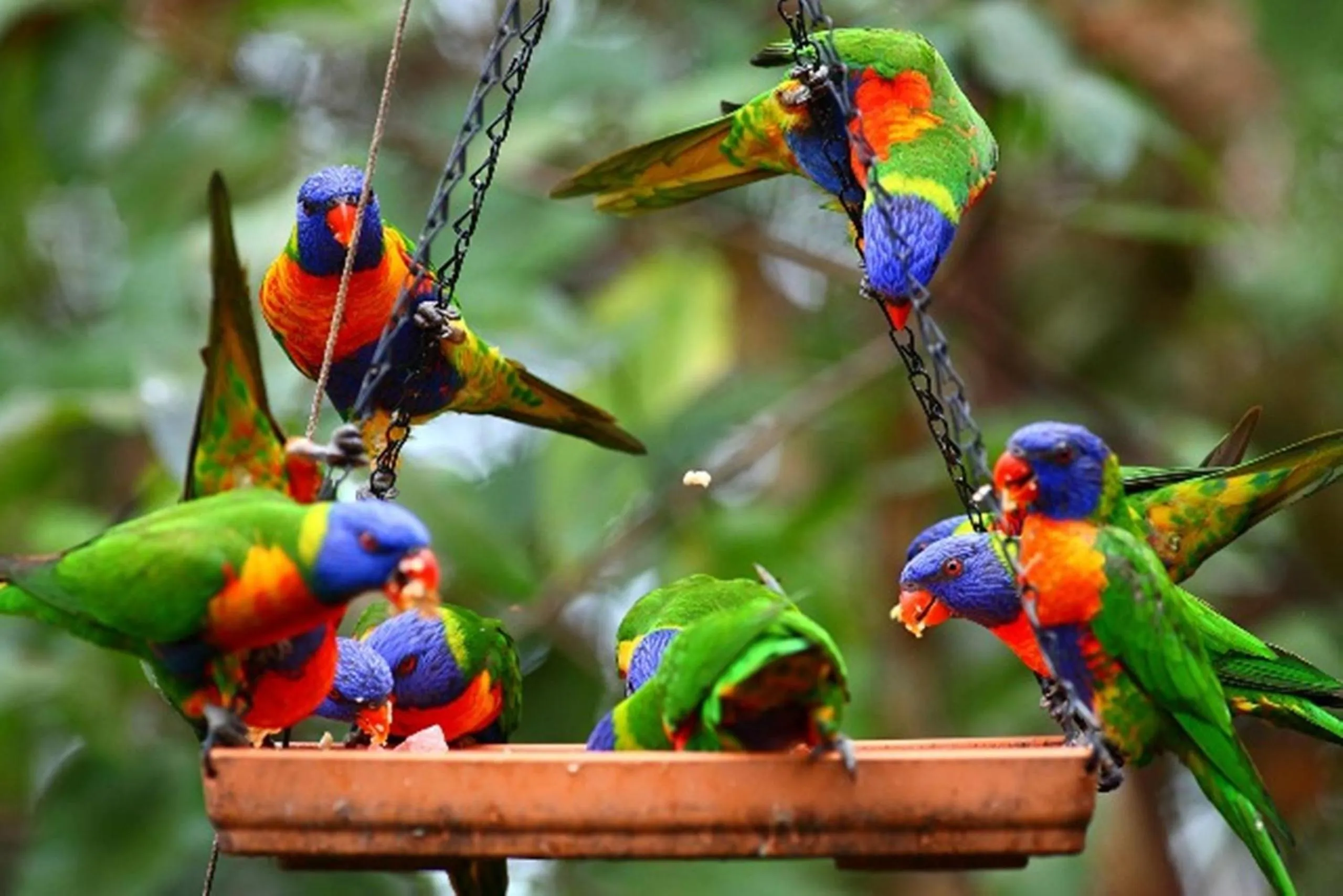 Other in Thala Beach Nature Reserve