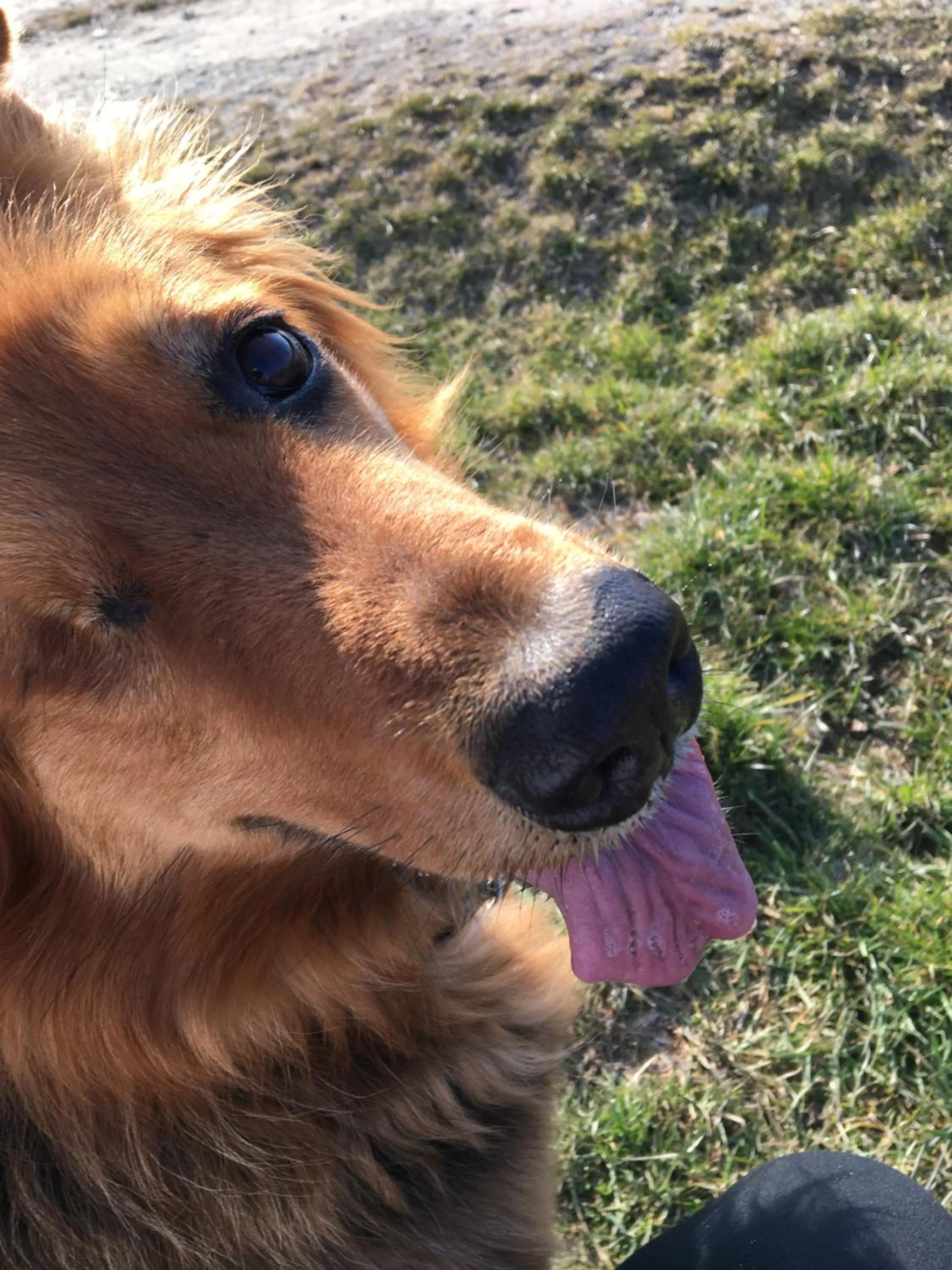 Bed & Breakfast Chez Lips